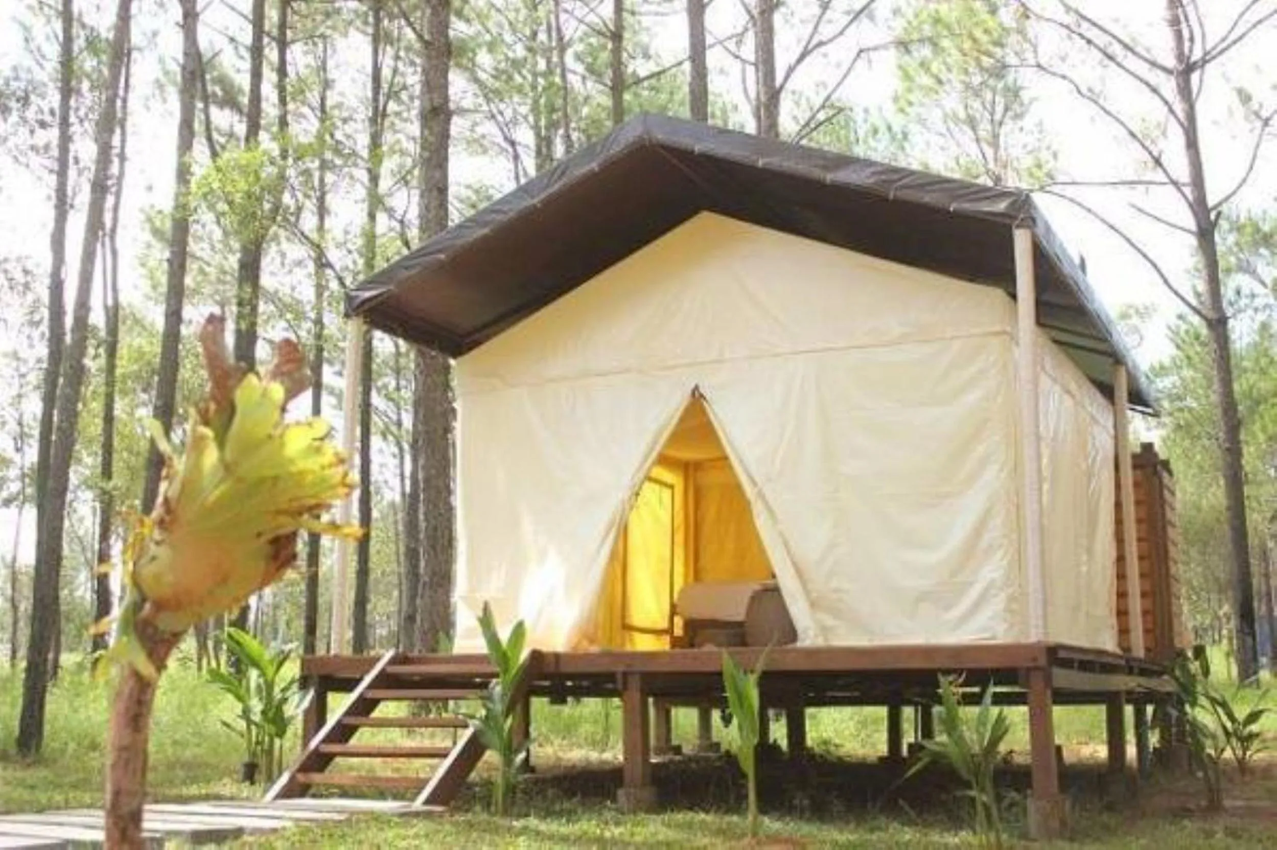Facade/entrance in vKirirom Pine Resort