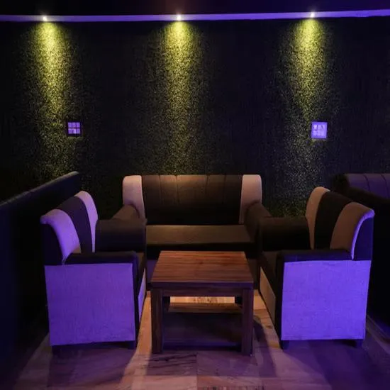 Lounge or bar in Hotel Giriraj Palace