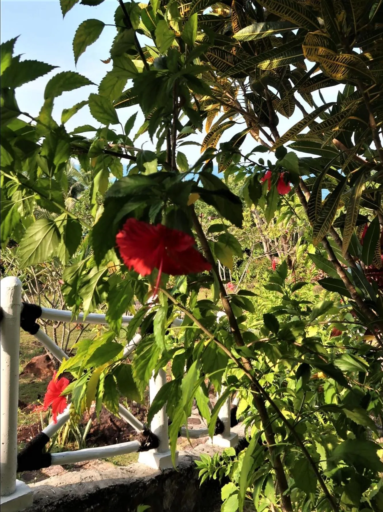 Garden in Breve Azurine Lagoon Resort