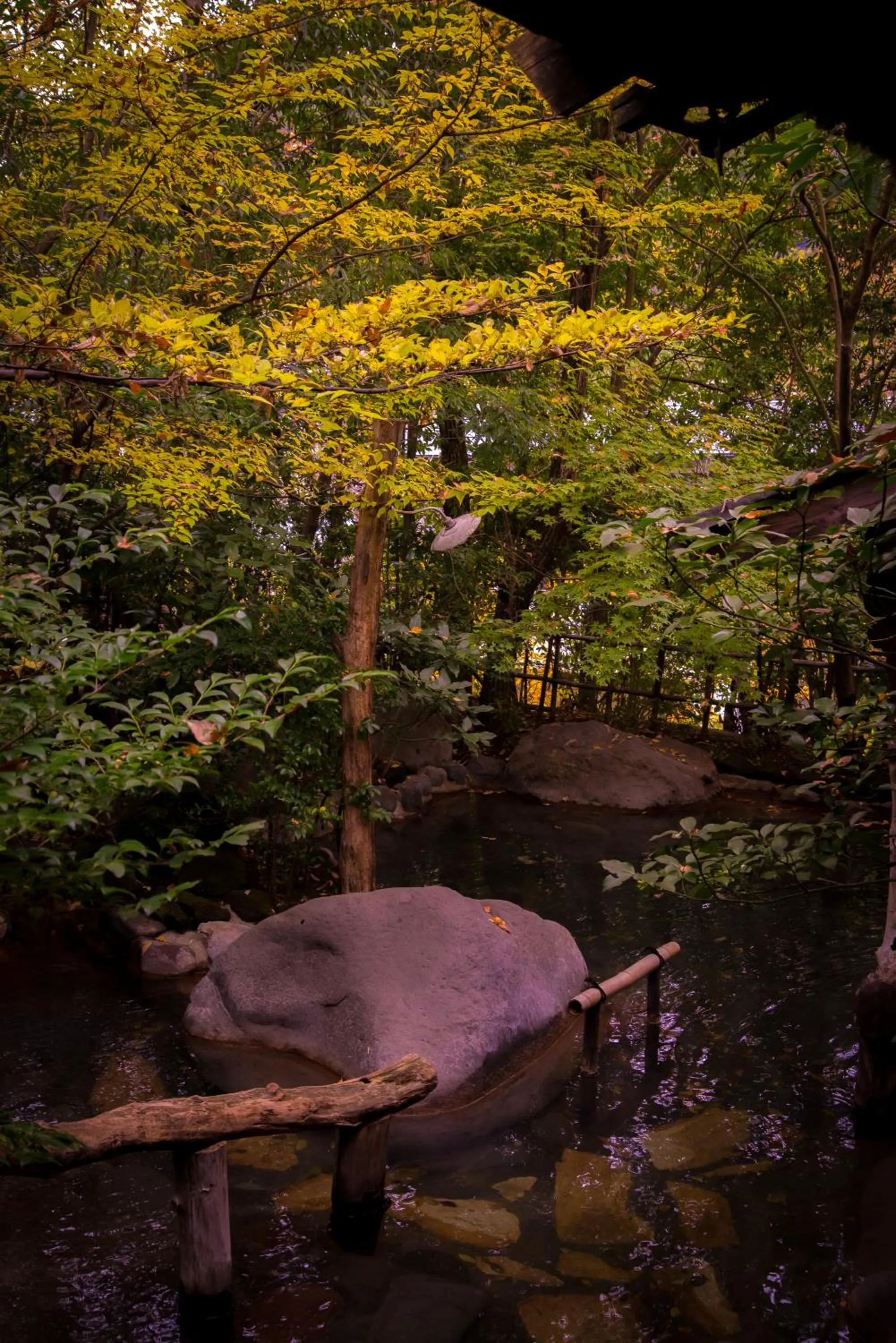 Hot Spring Bath in Kurokawa Onsen Oyado Noshiyu