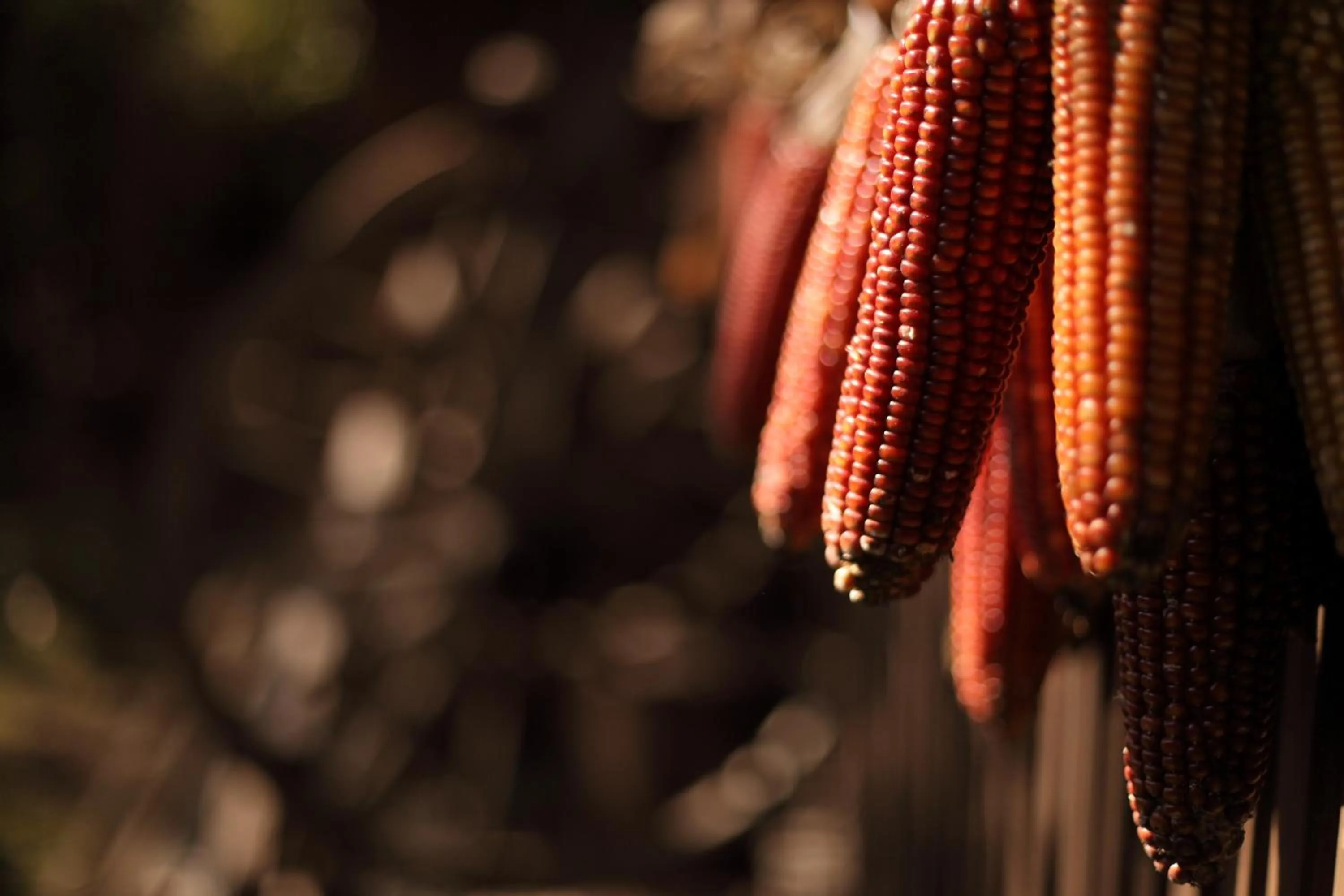 Other in Kurokawa Onsen Oyado Noshiyu