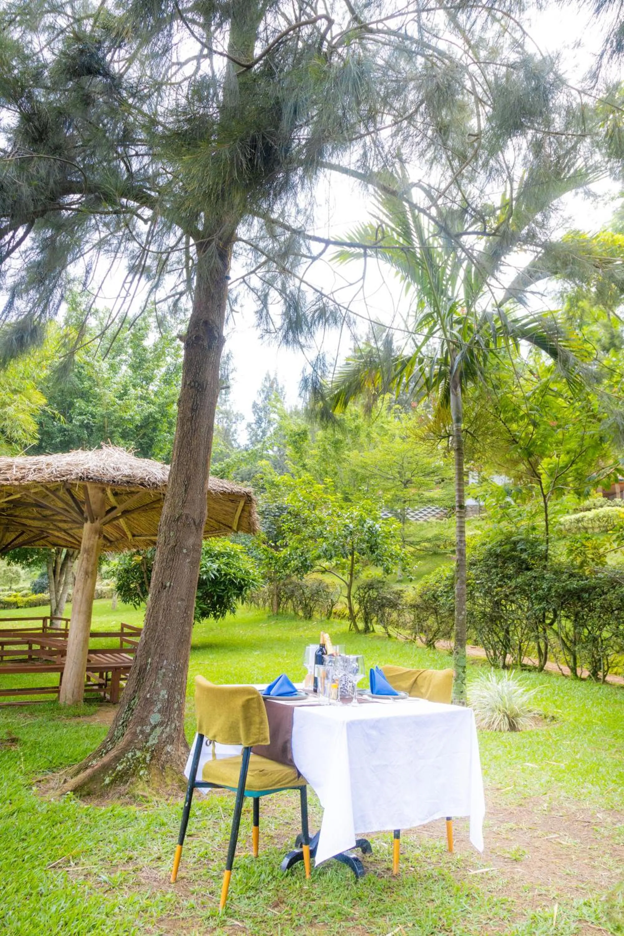 Natural landscape in Ruhondo Beach Resort