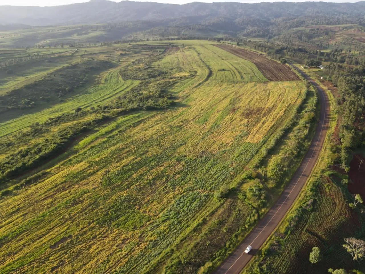 Bird's eye view in STC.SAFARI LODGE