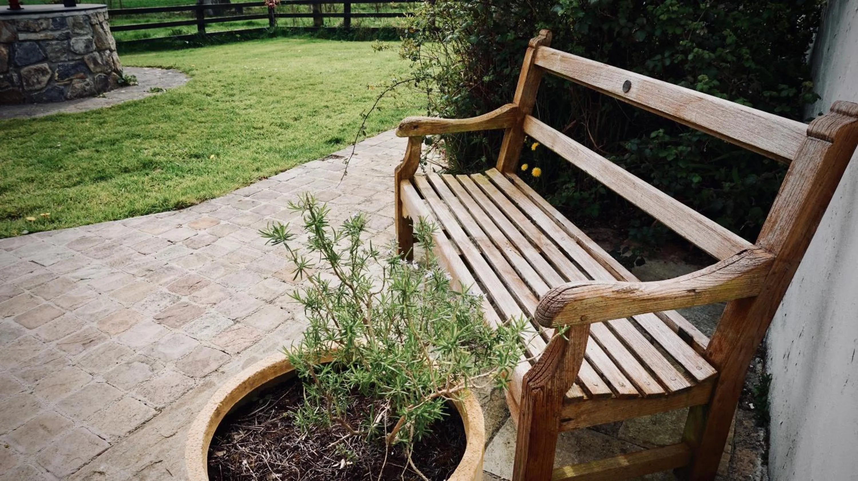 Garden in Cartron House