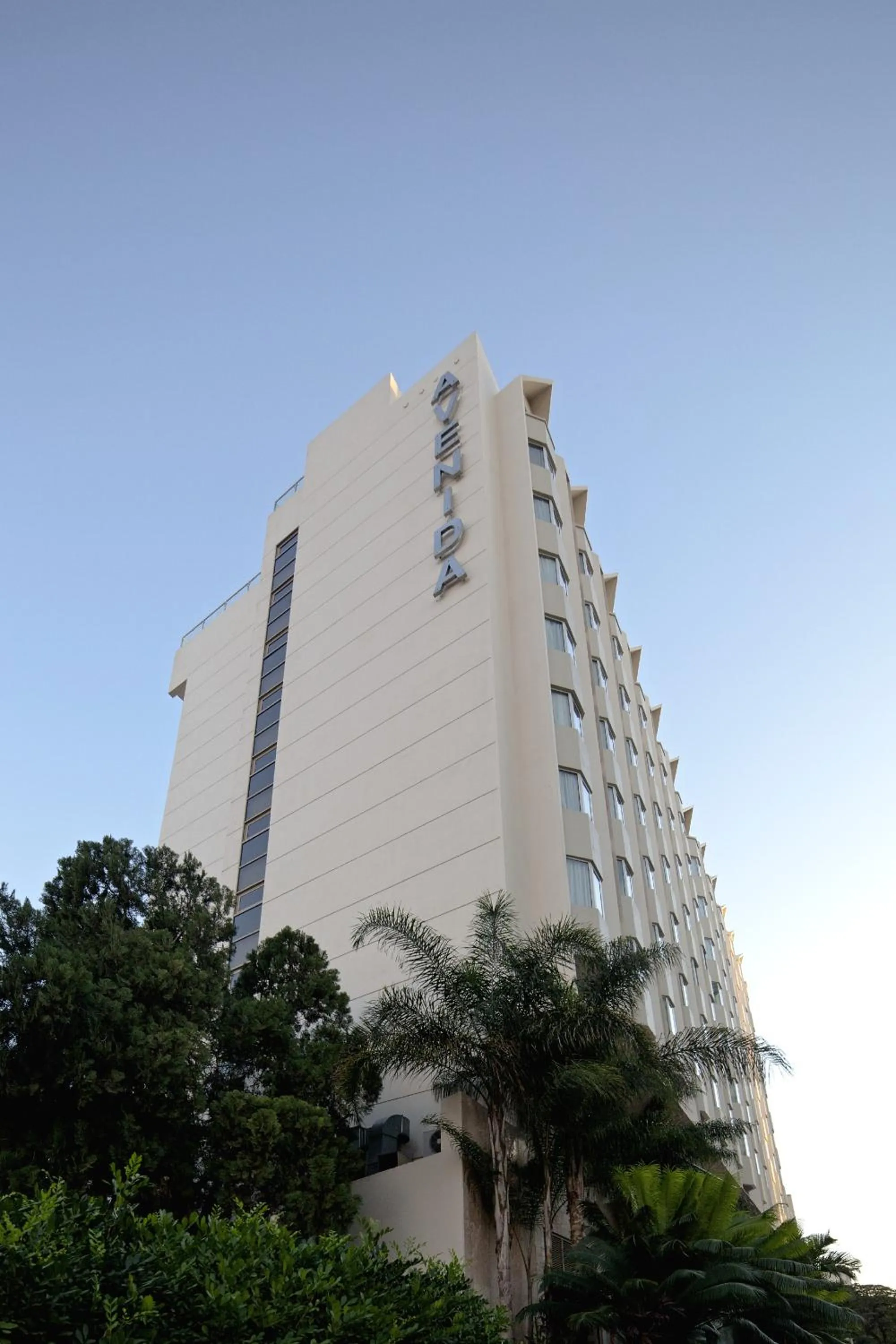Property building in Hotel Avenida