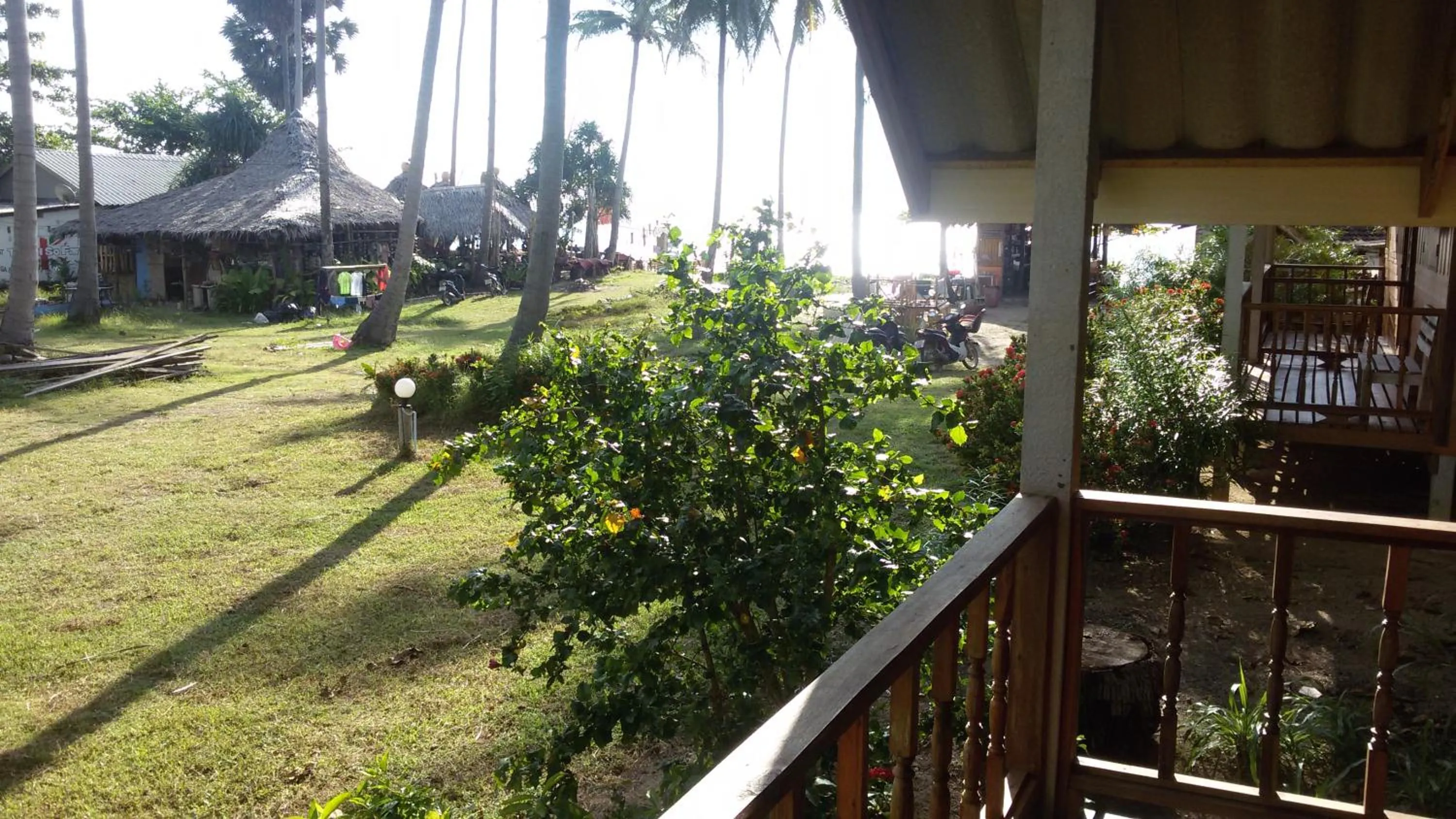 Garden view in Green Chilli Bungalows