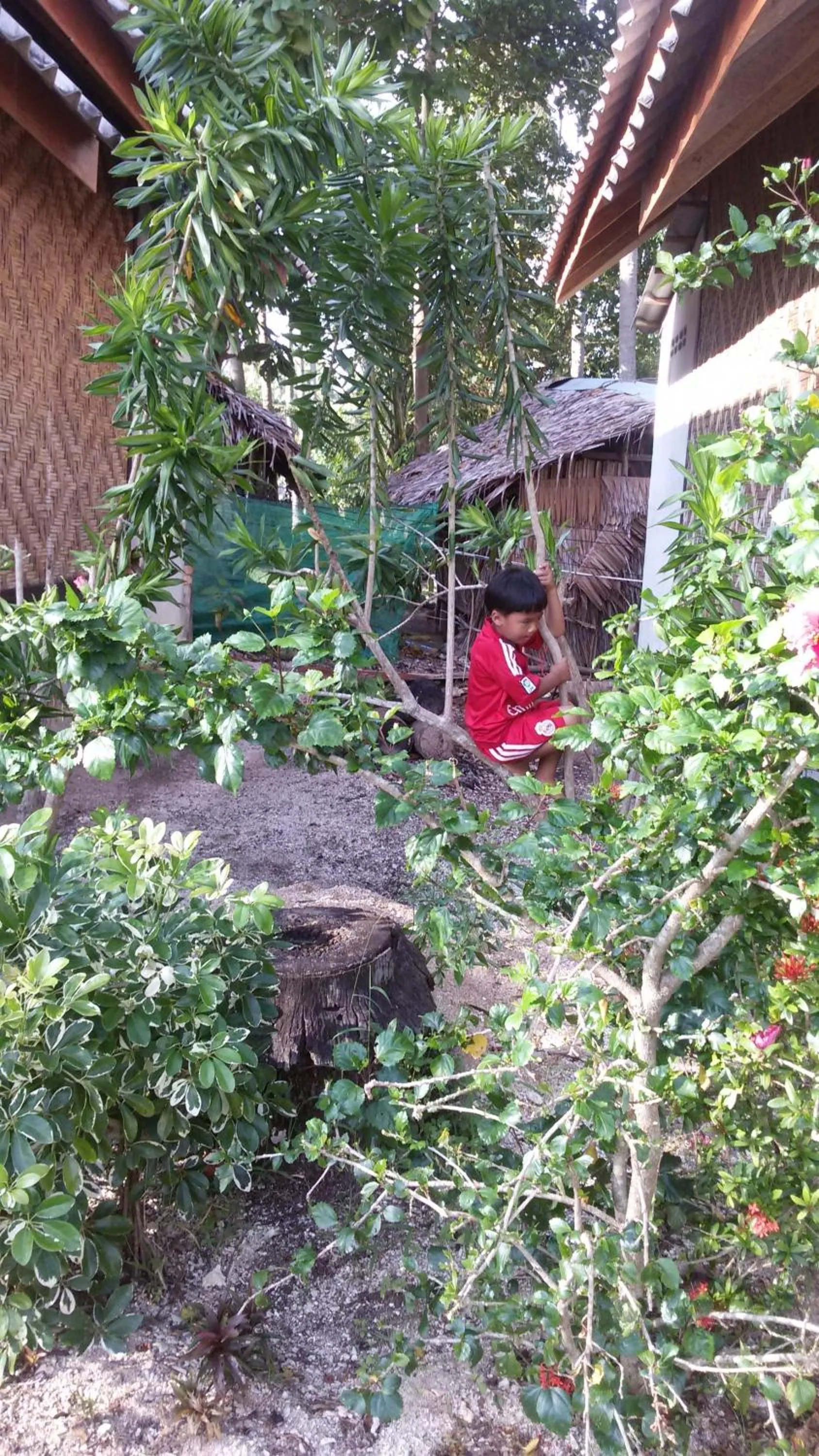 Day in Green Chilli Bungalows