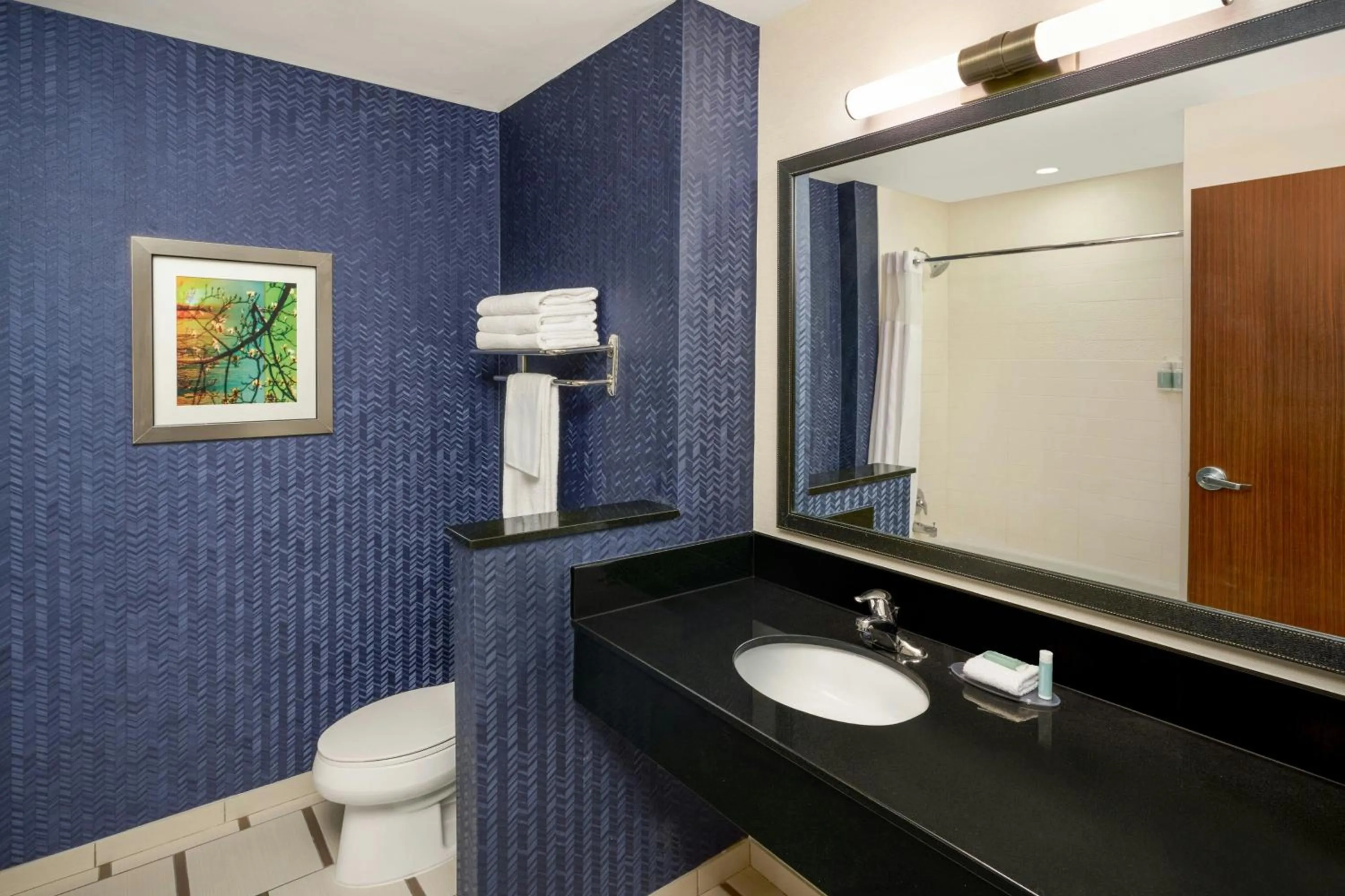 Bathroom in Fairfield Inn & Suites by Marriott Delray Beach I-95