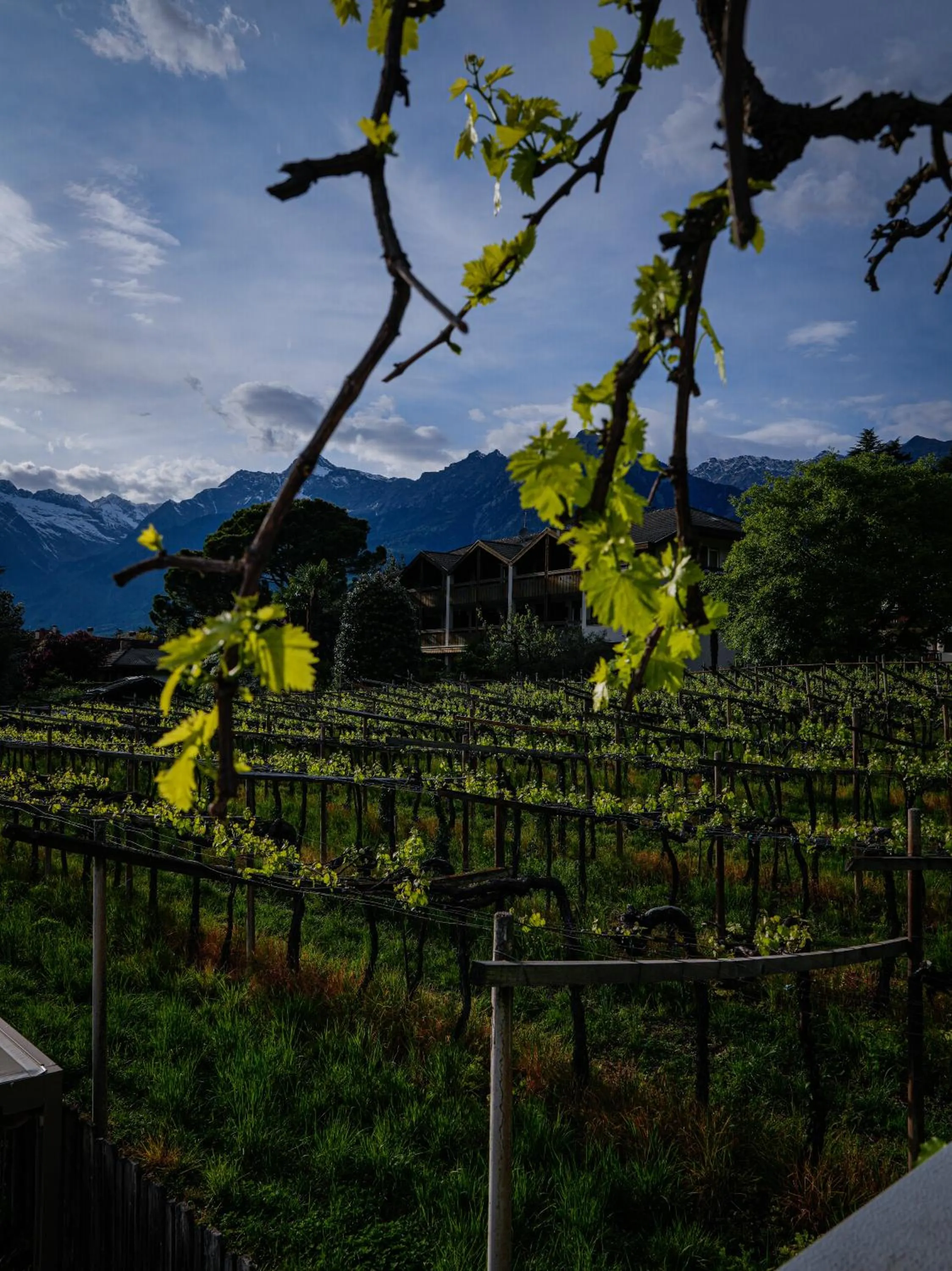 Merangardenvilla adults only