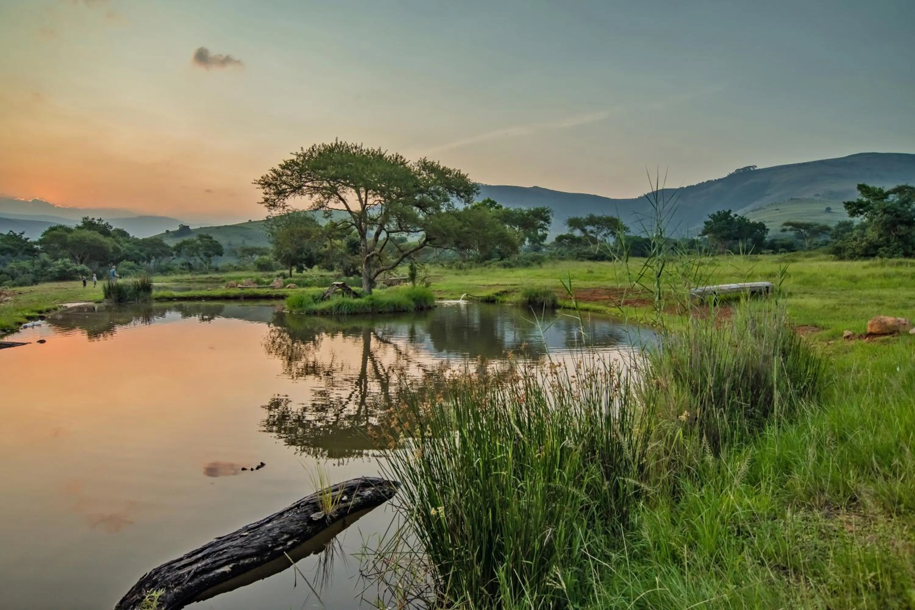 Natural landscape in Caracal Lodge