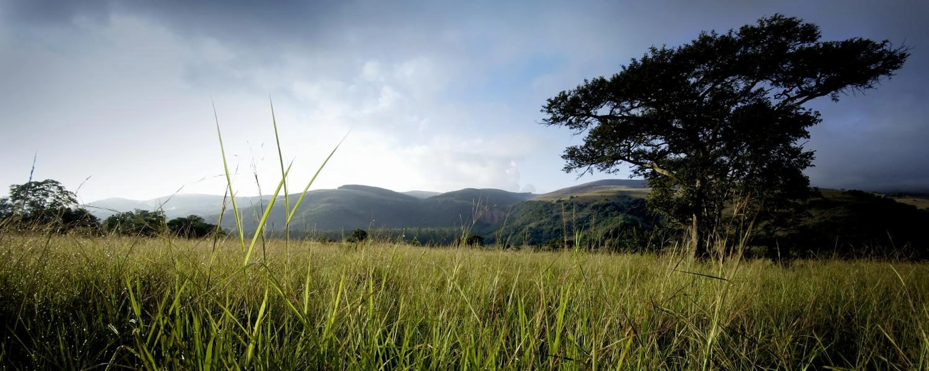 Area and facilities in Caracal Lodge