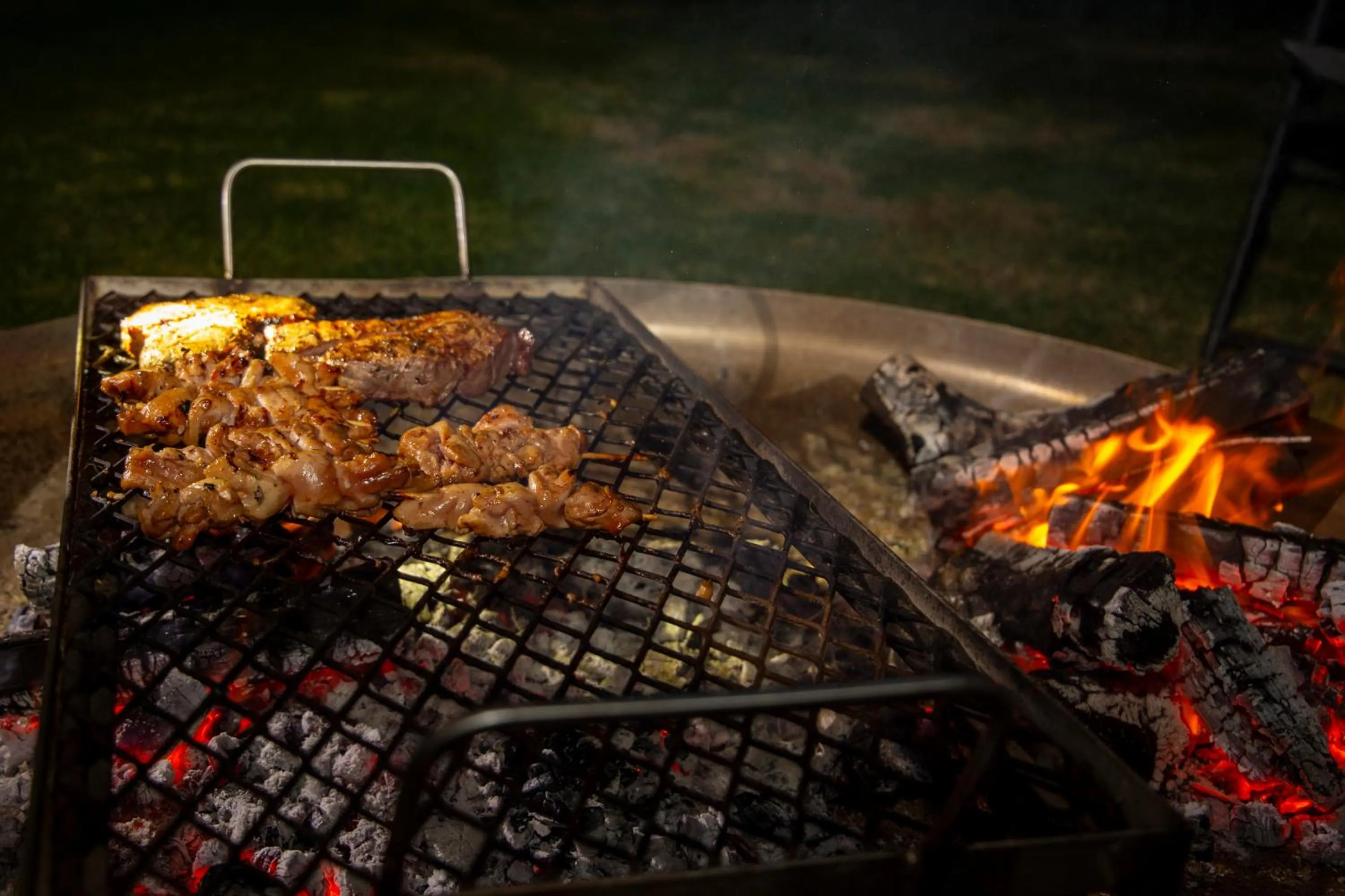 BBQ facilities in Raptor Rise Farm