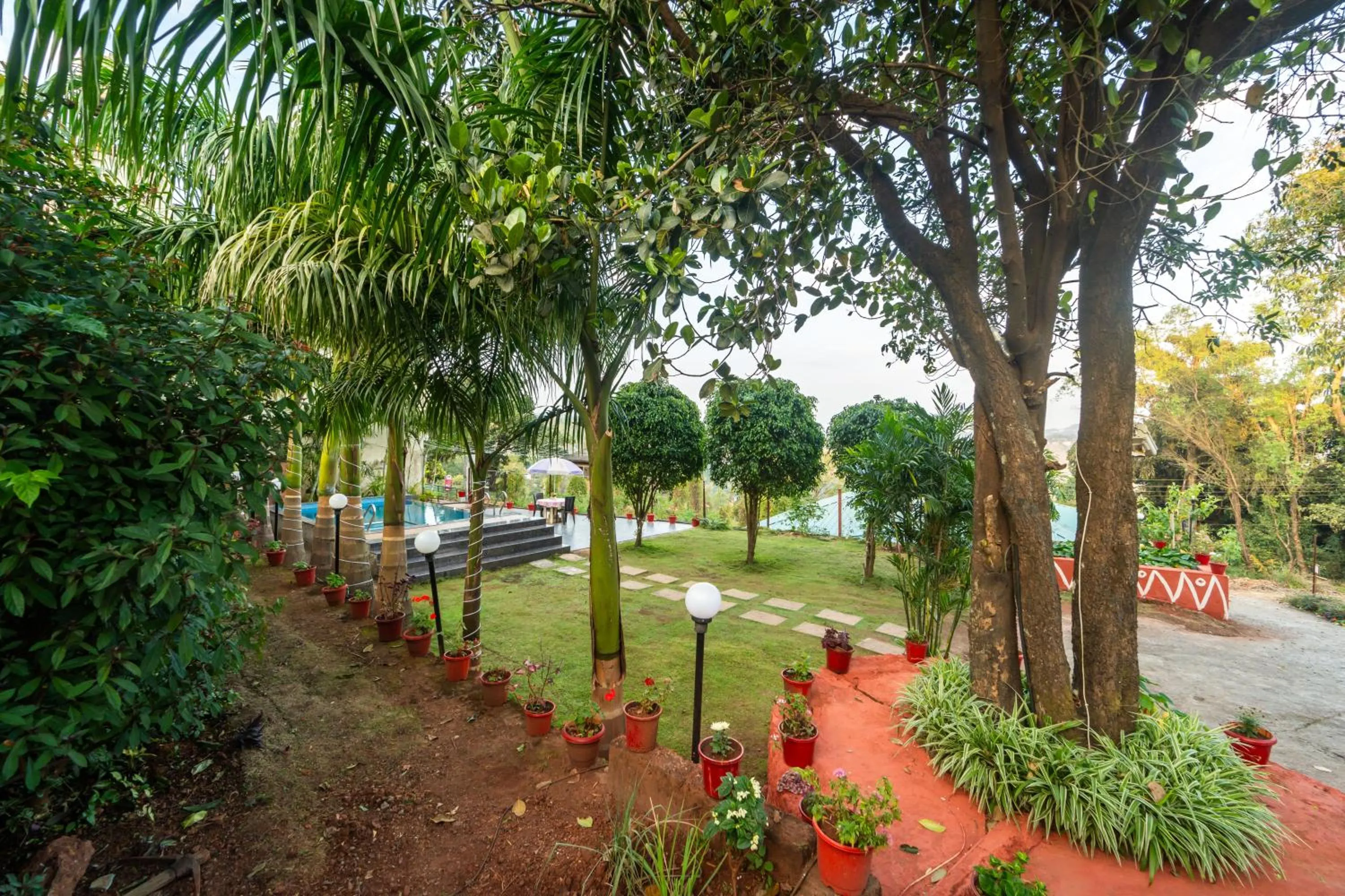 Spring in Strawberry County