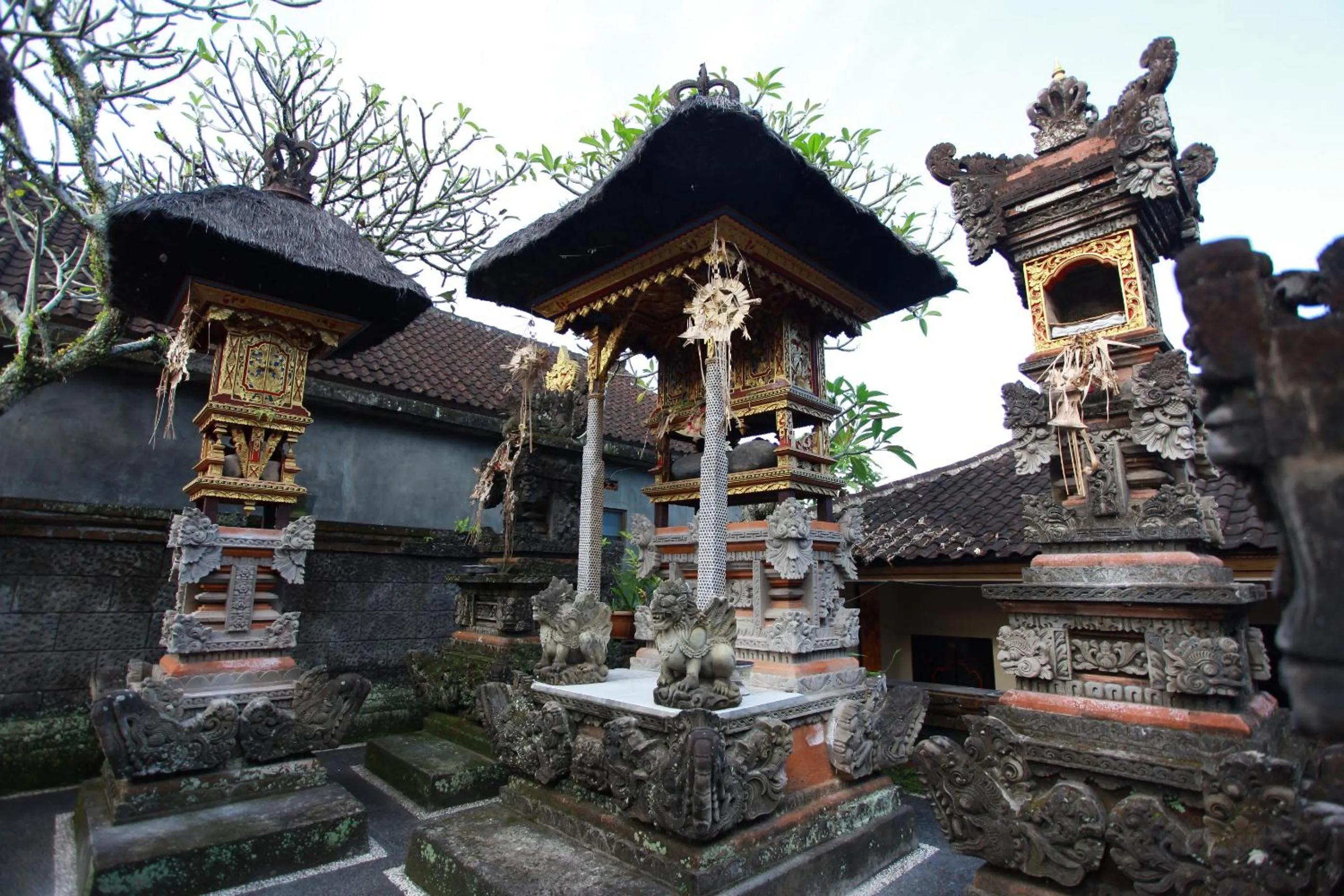 Property building in Sulendra Jungle Suites Ubud View by EPS