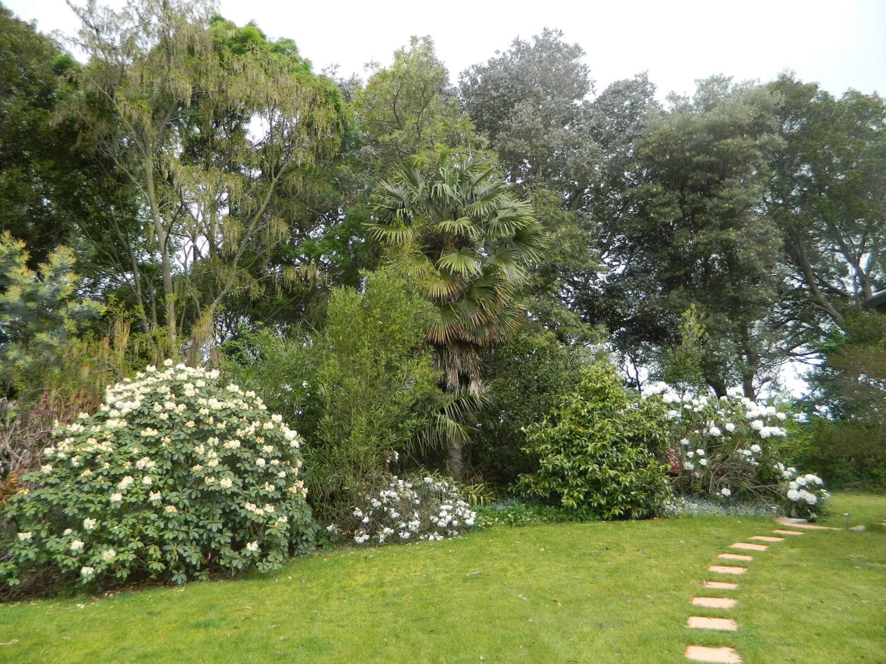 Garden in Antares Homestay