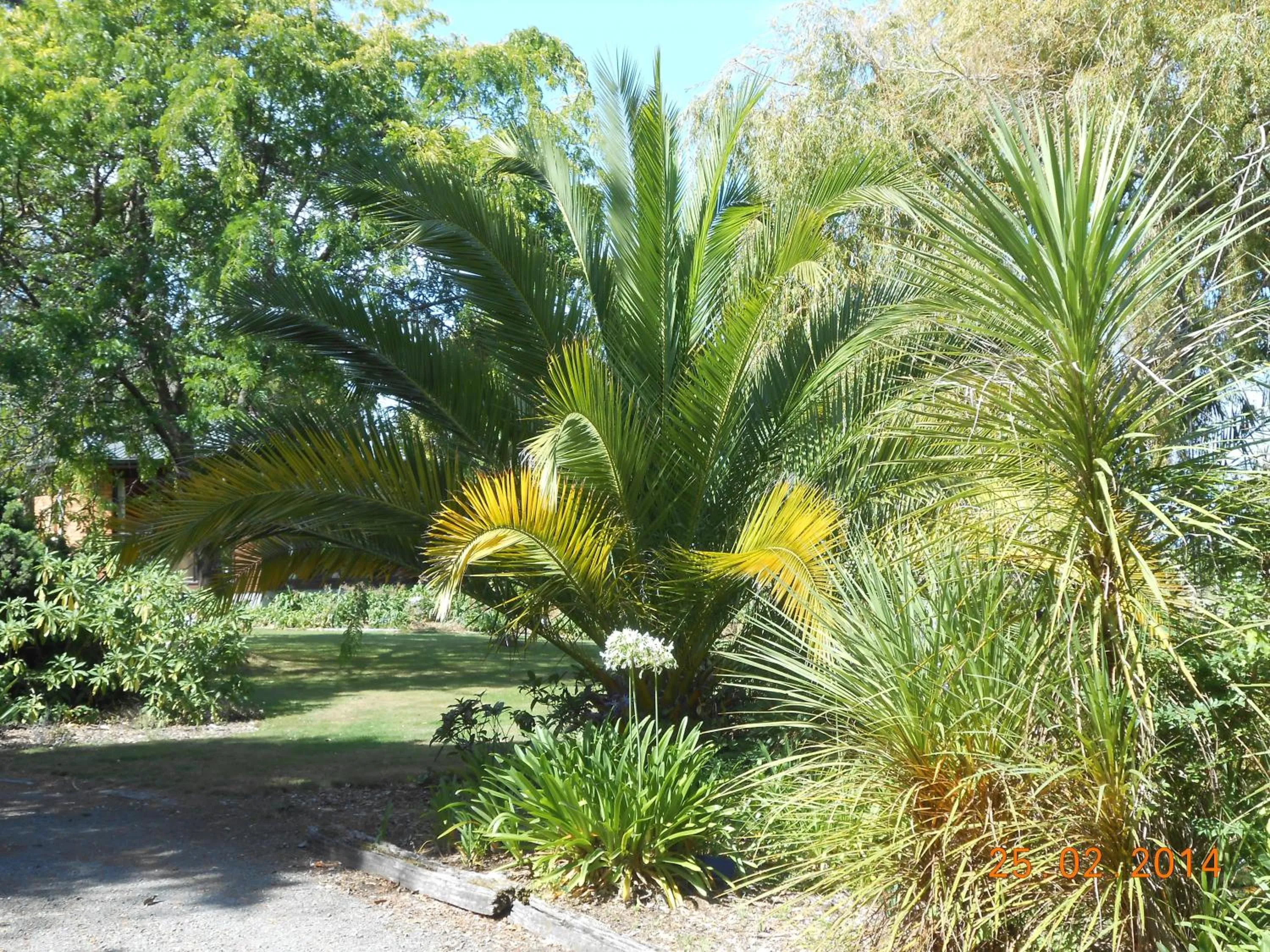 Garden in Antares Homestay