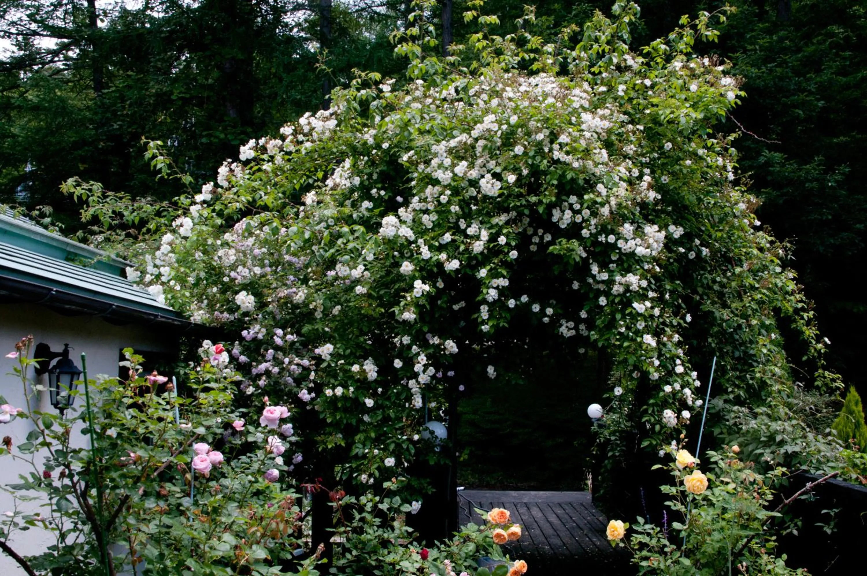 Summer in Tombouctou