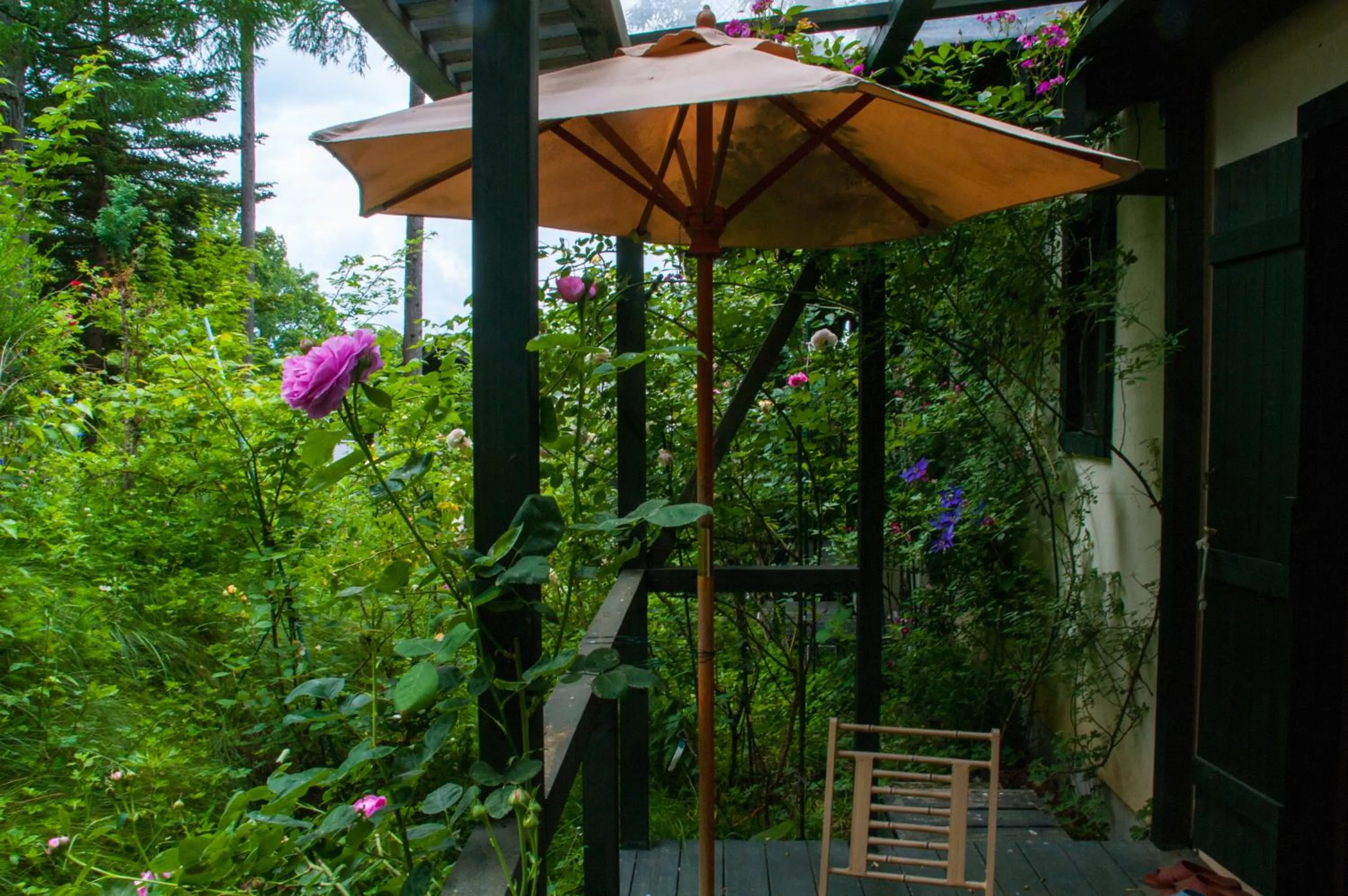 Summer in Tombouctou