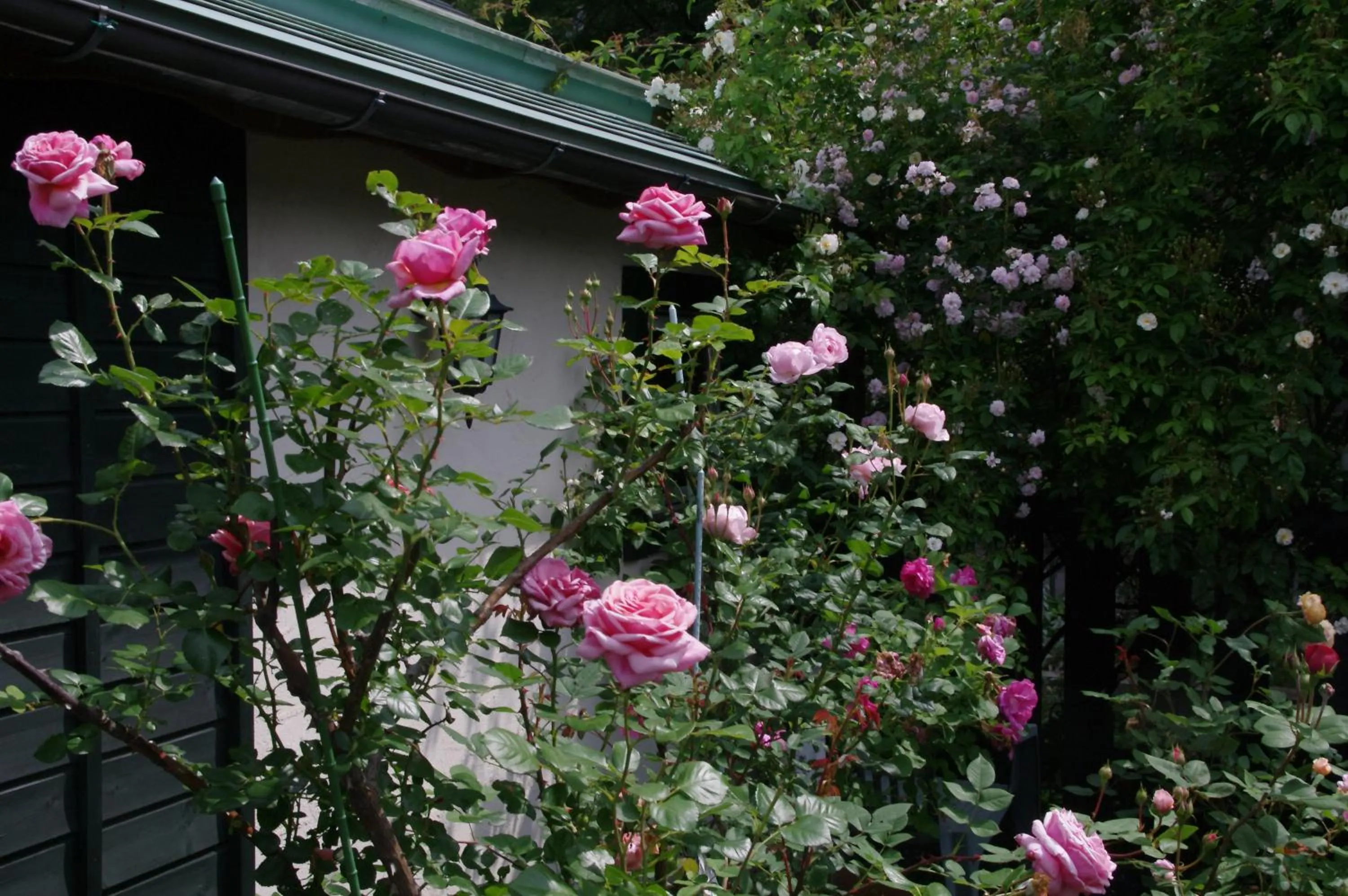 Summer in Tombouctou