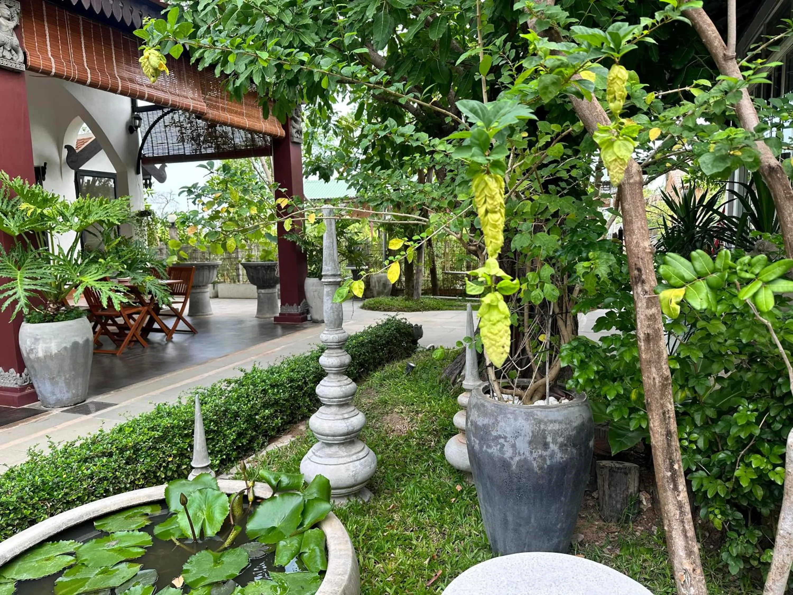 Garden in Moringa Tree Maison