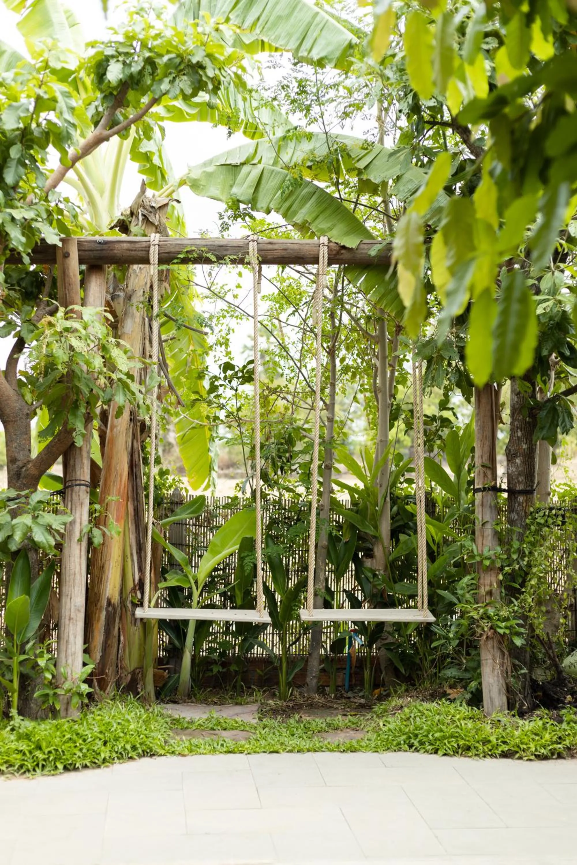 Garden in Moringa Tree Maison