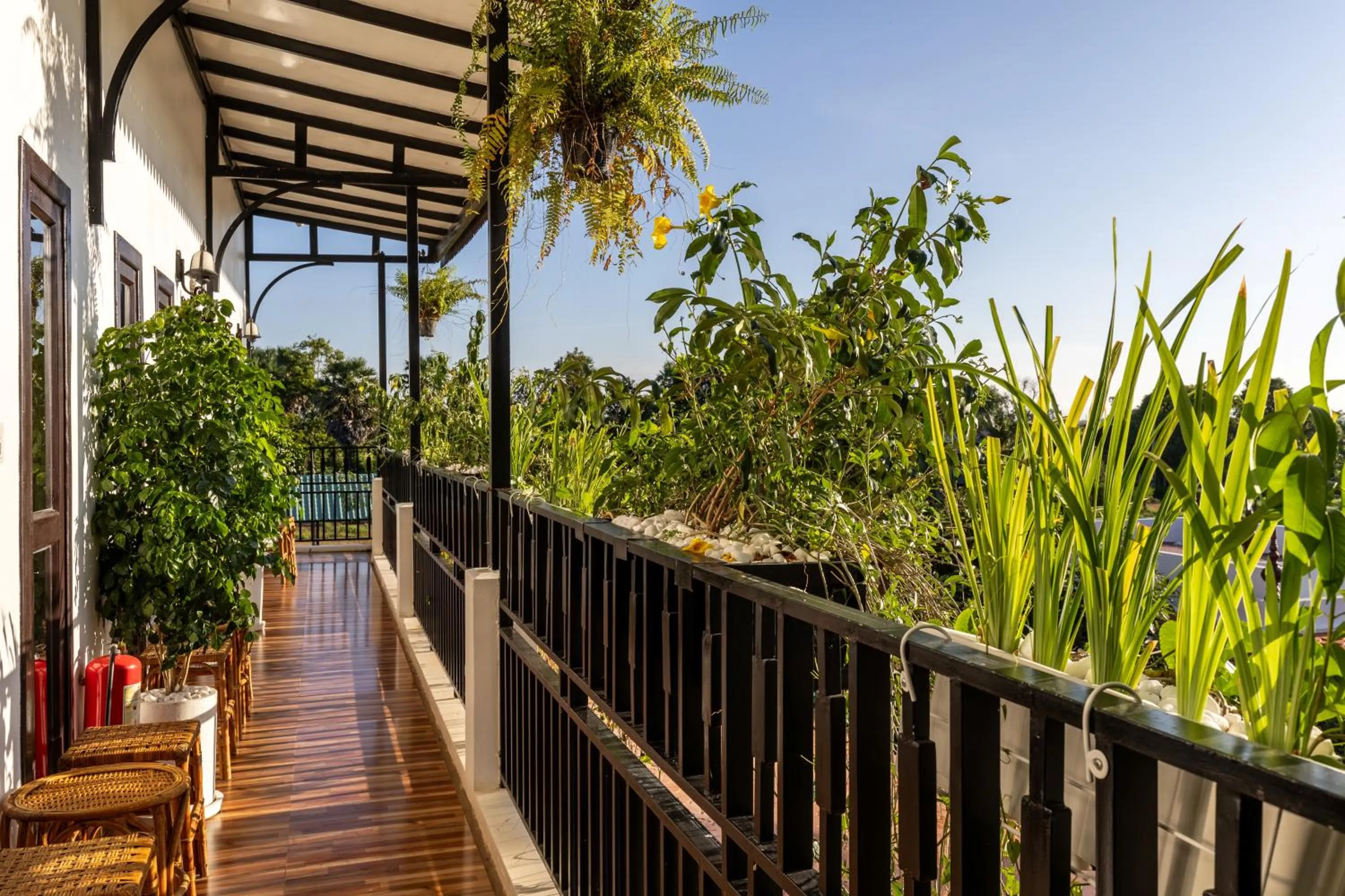 Property building in Moringa Tree Maison