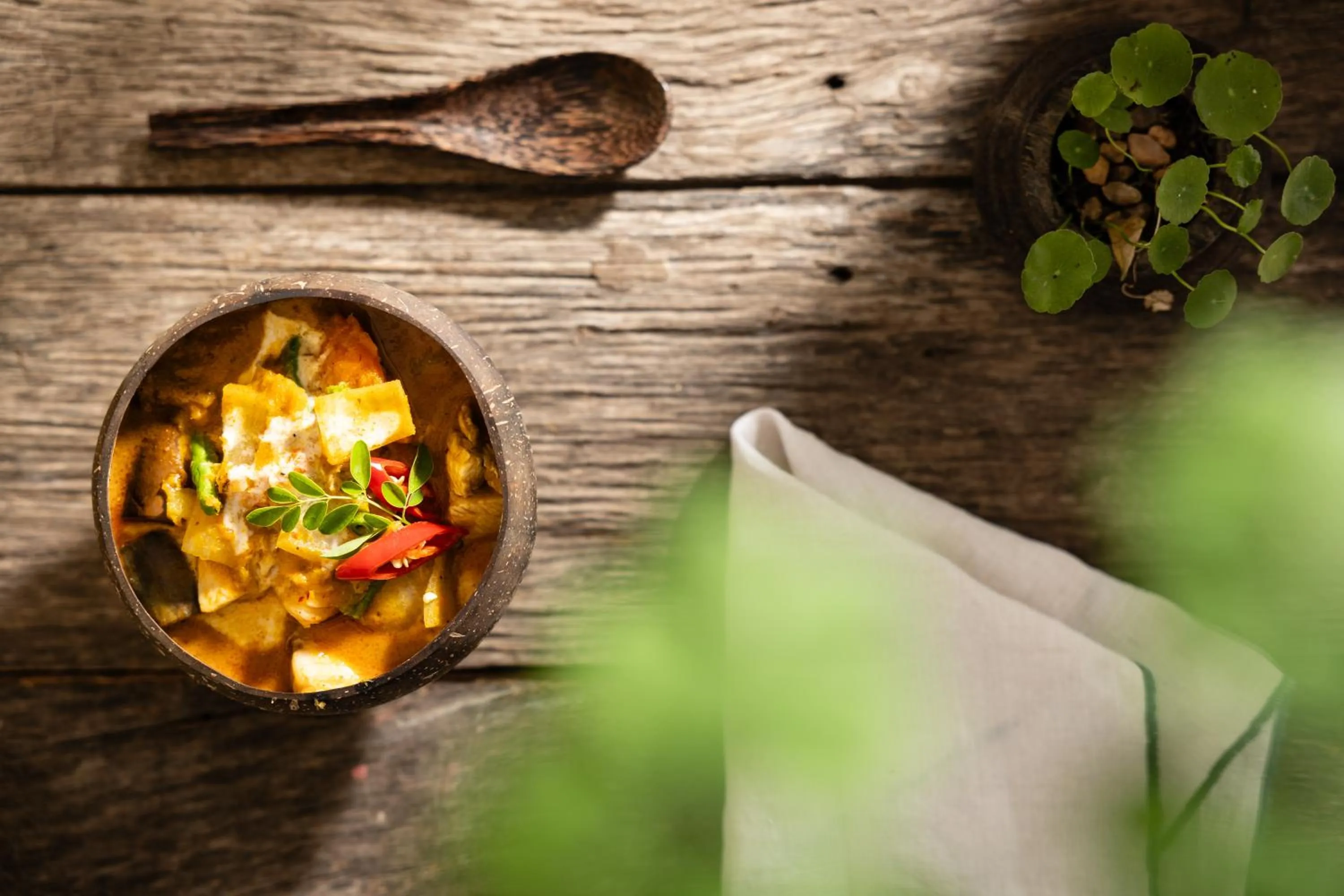 Food close-up in Moringa Tree Maison