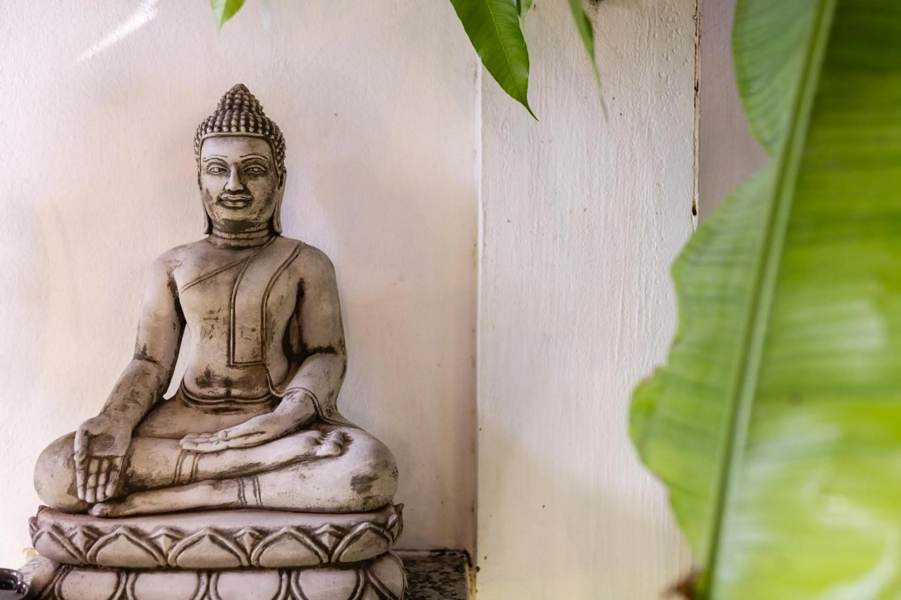 Spa and wellness centre/facilities in Moringa Tree Maison