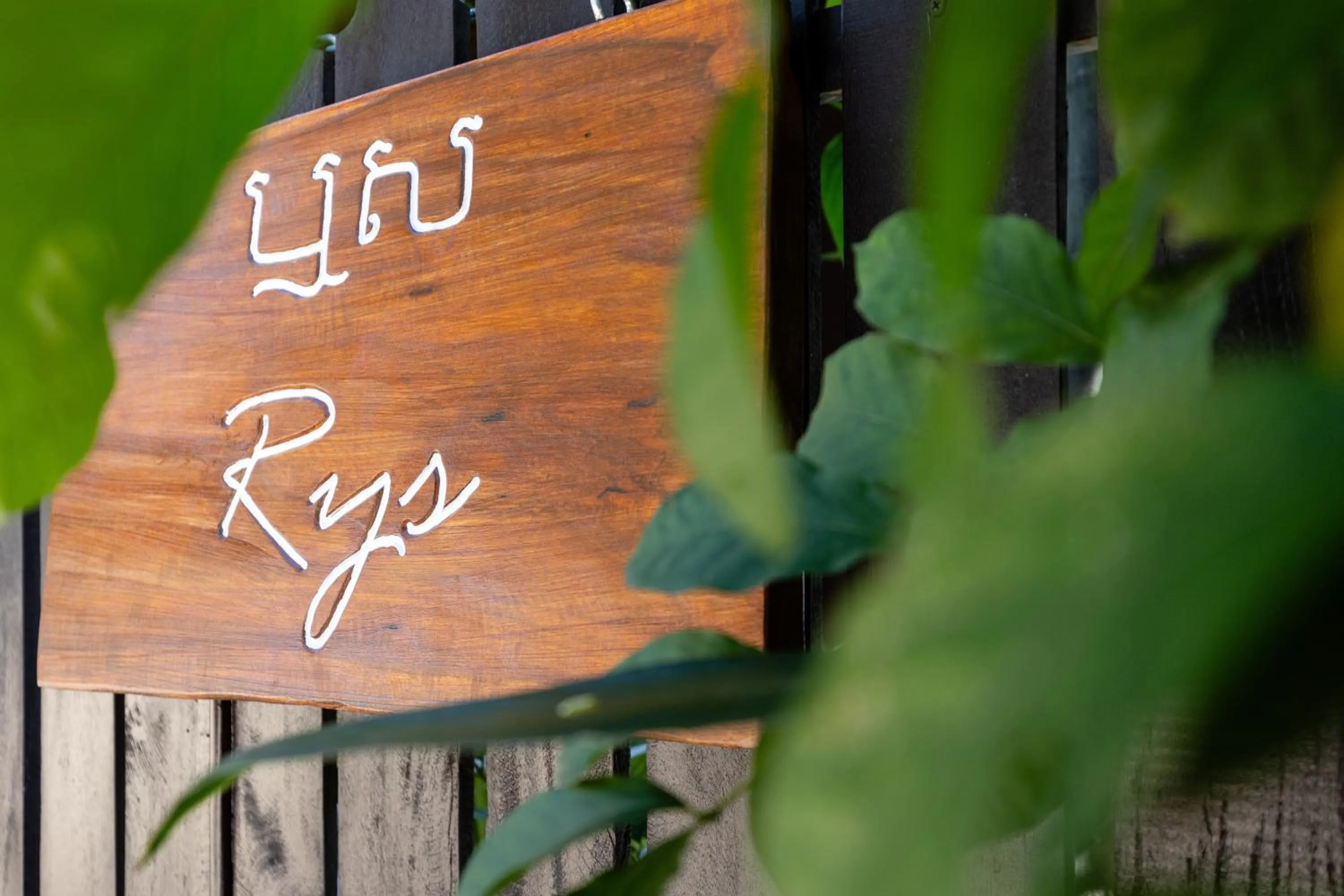 Restaurant/places to eat in Moringa Tree Maison