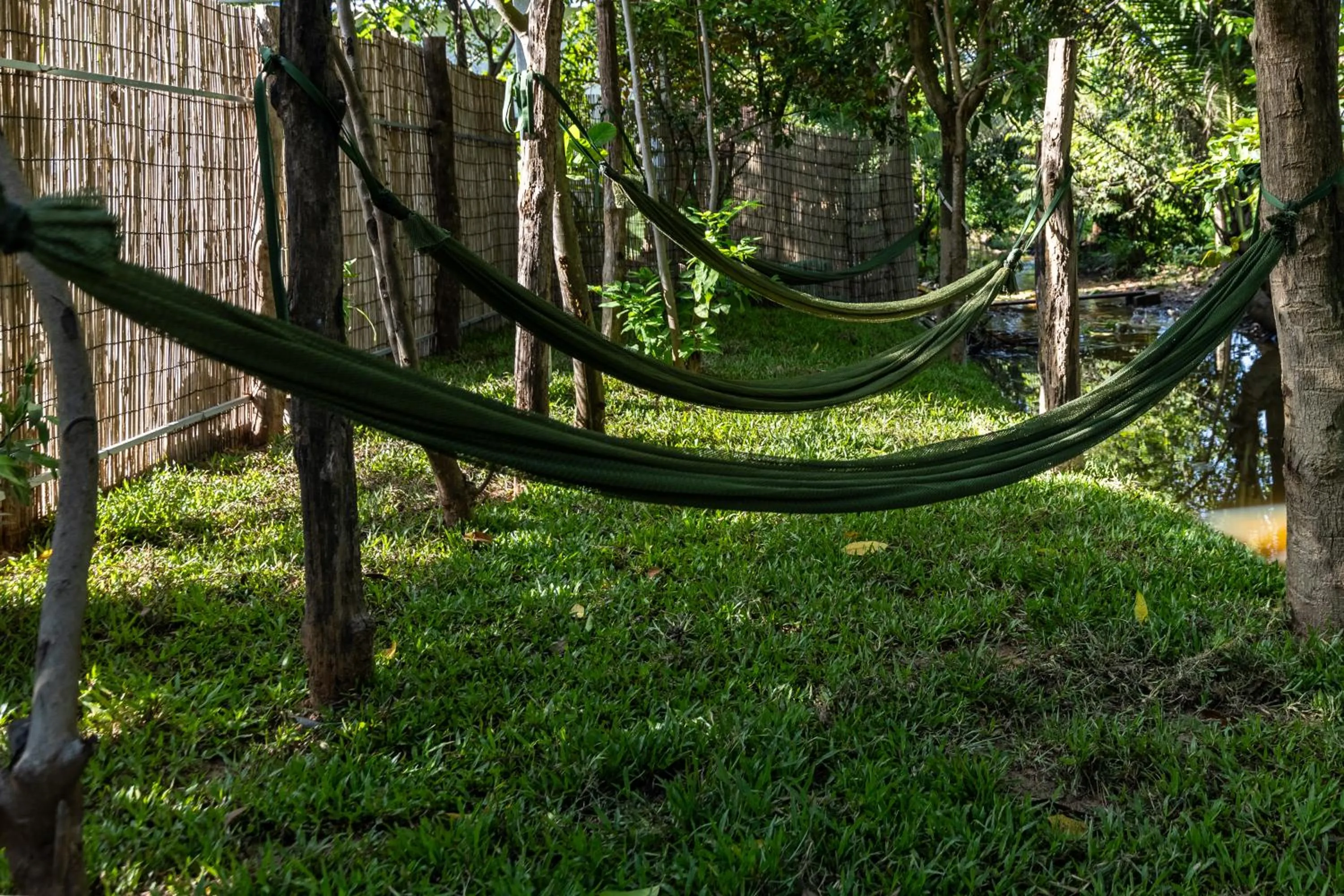 River view in Moringa Tree Maison
