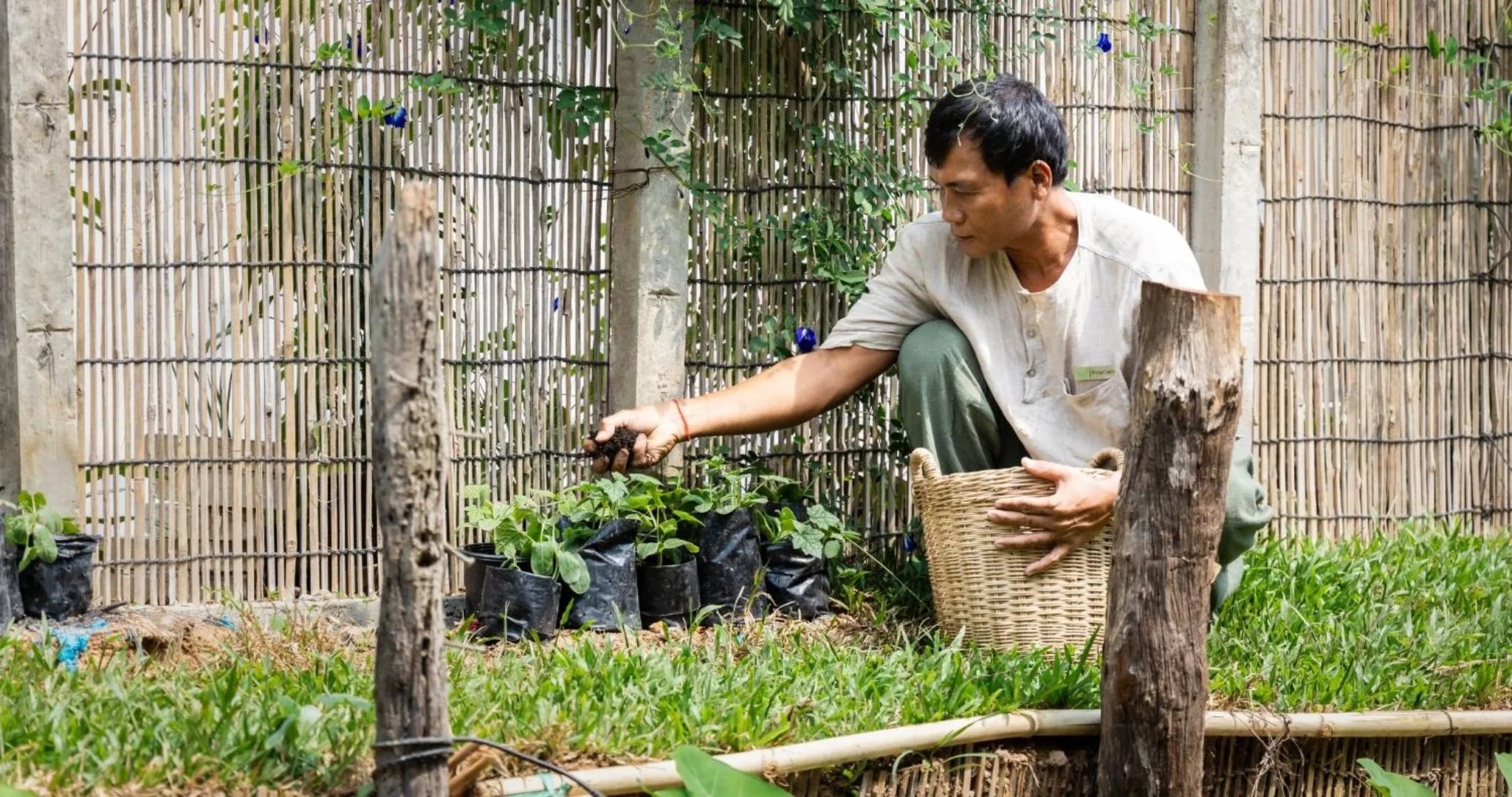 Lake view in Moringa Tree Maison