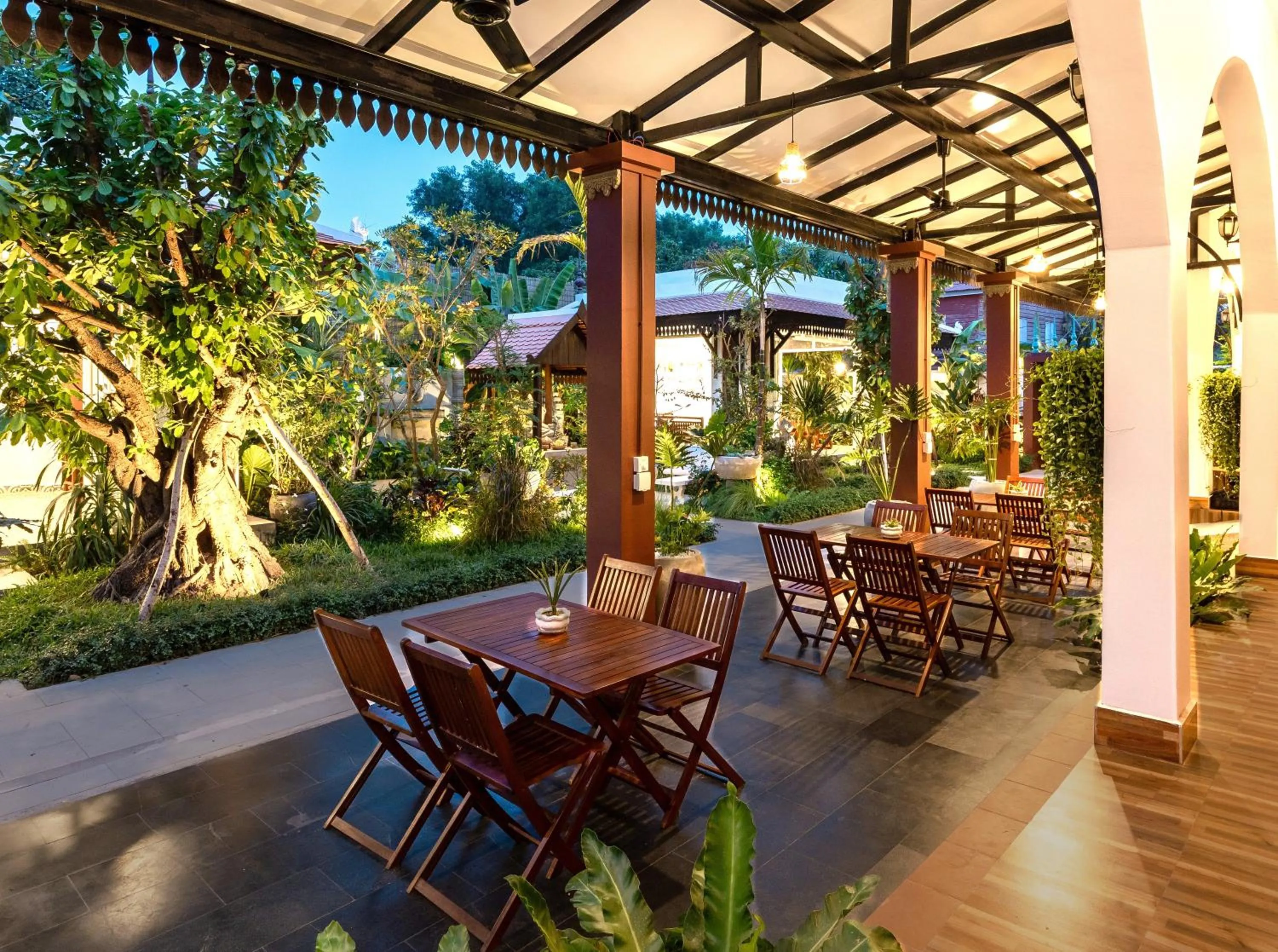 Garden view in Moringa Tree Maison