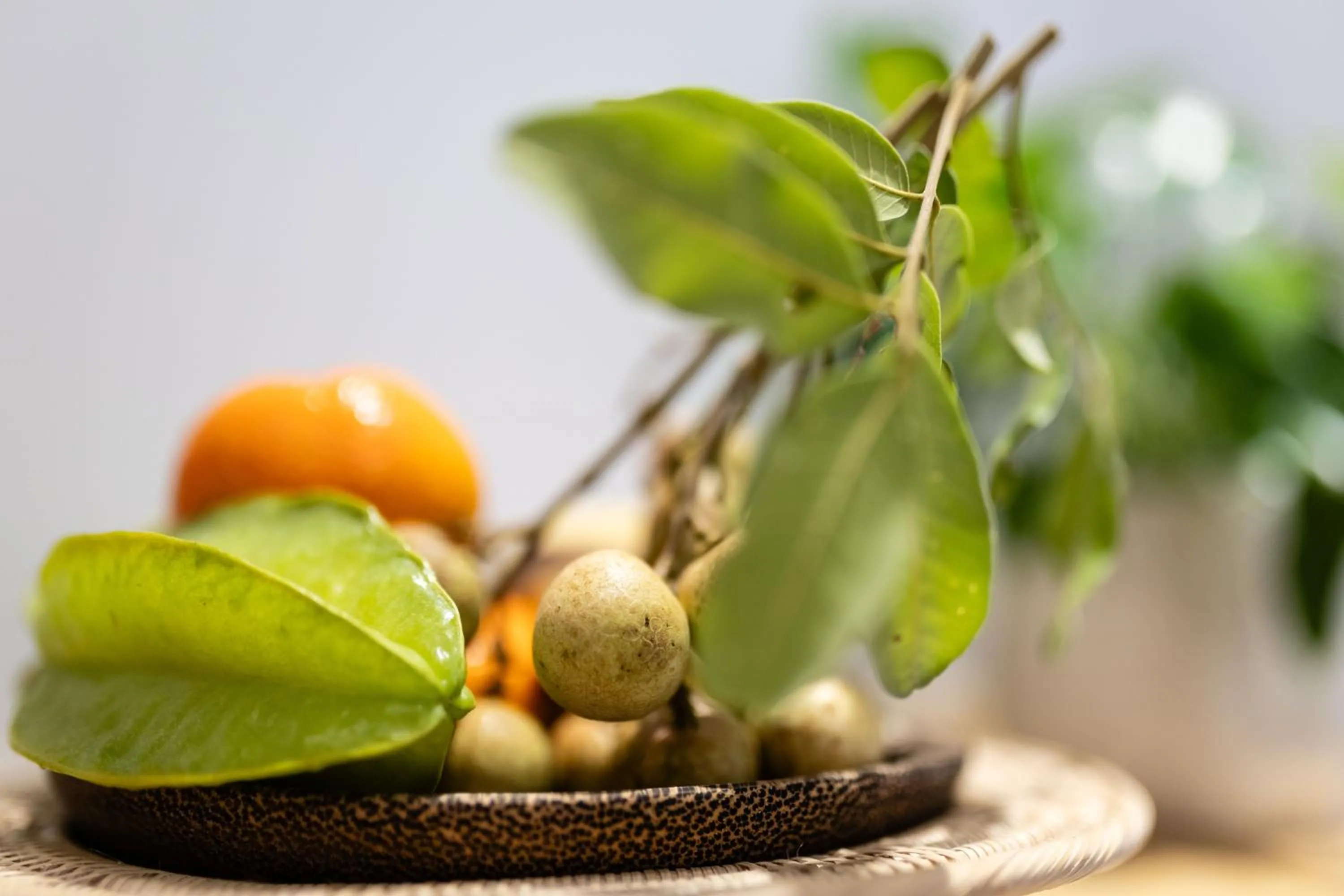 Food in Moringa Tree Maison