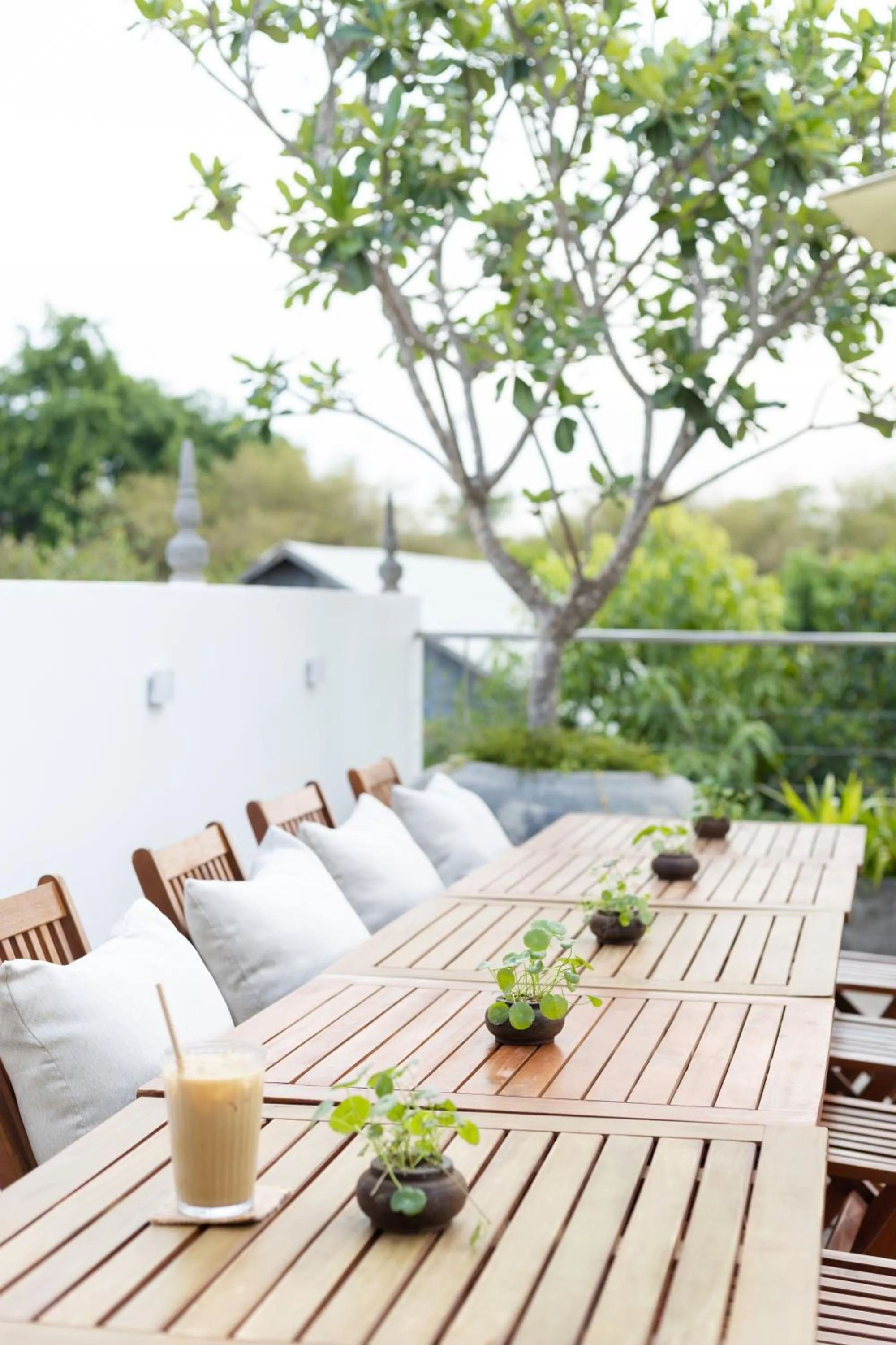 Restaurant/places to eat in Moringa Tree Maison