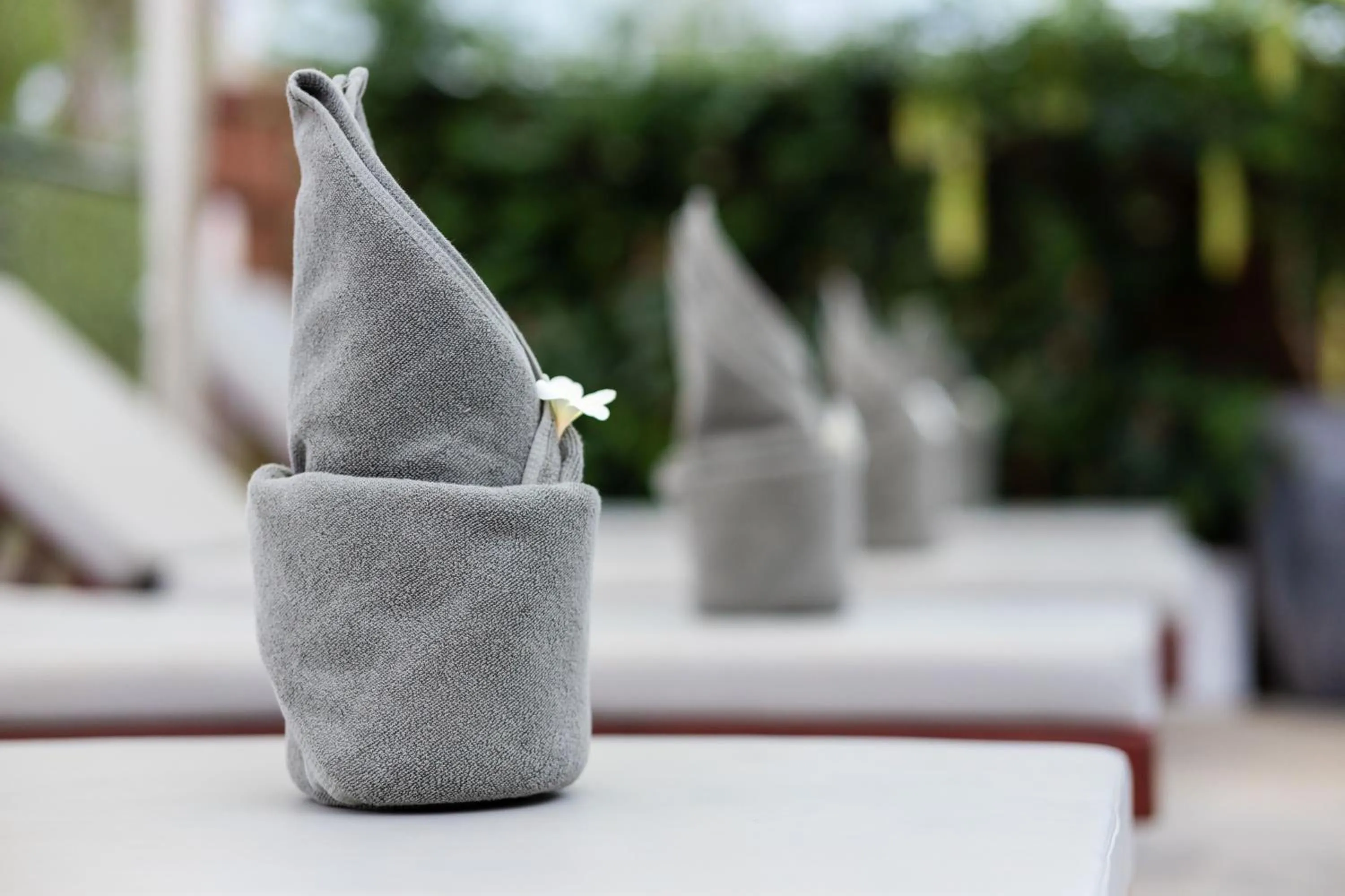 Swimming pool in Moringa Tree Maison