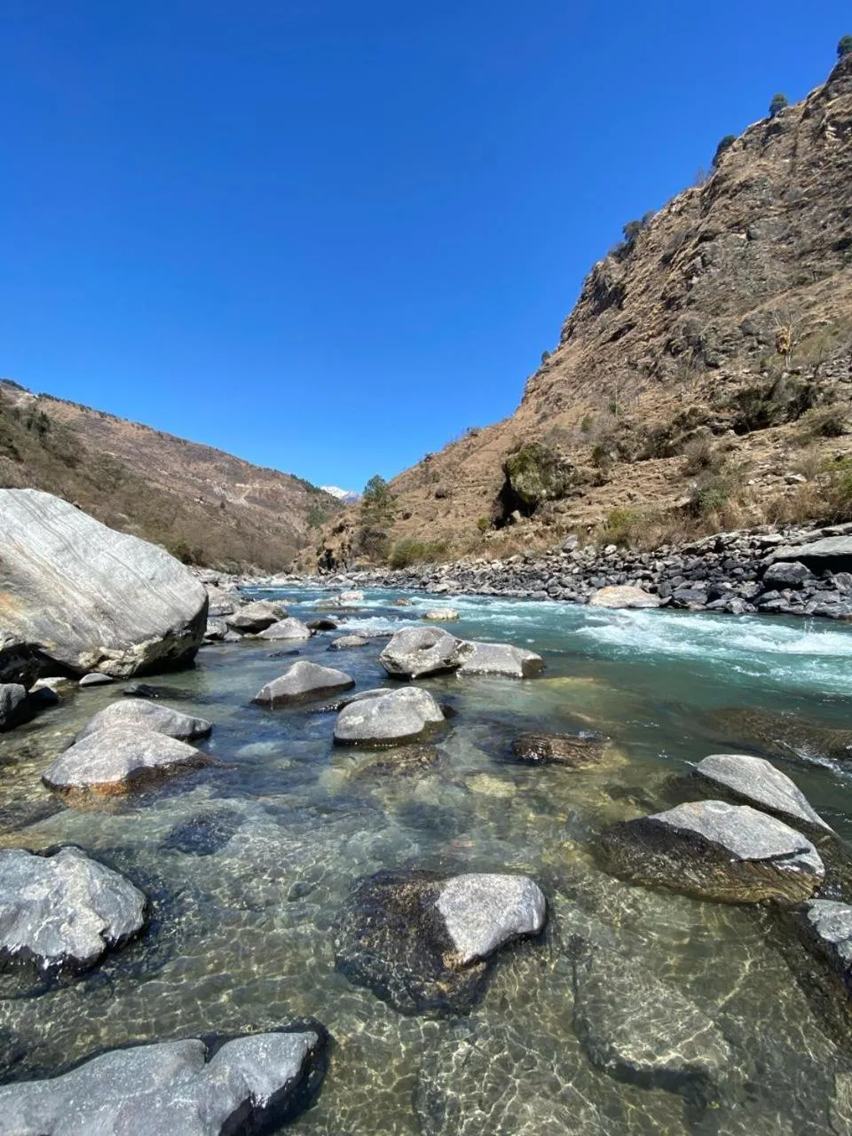 View (from property/room) in Bhagirathi Resort by Aikyam