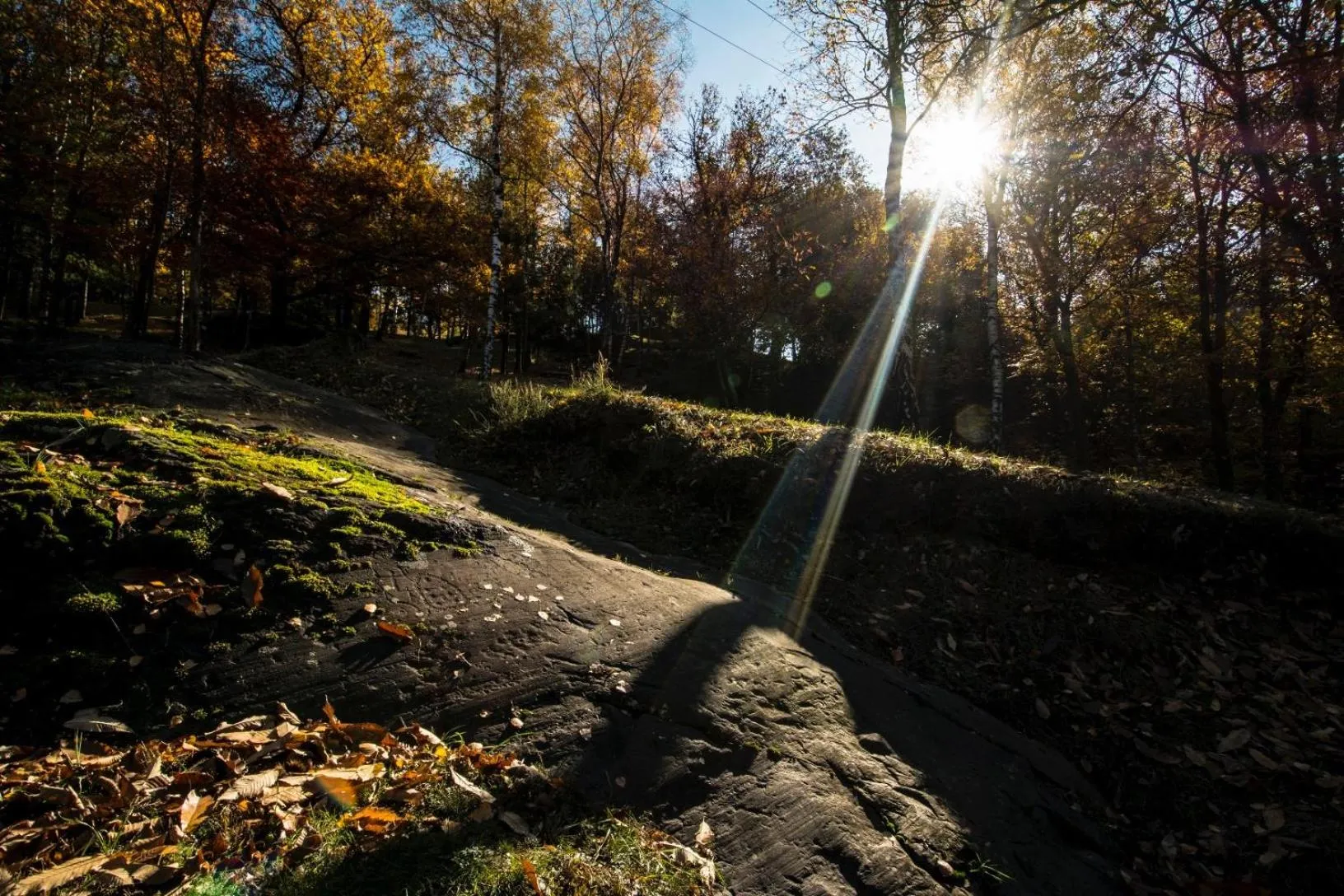 Nearby landmark in Casa Visnenza Bed & Breakfast