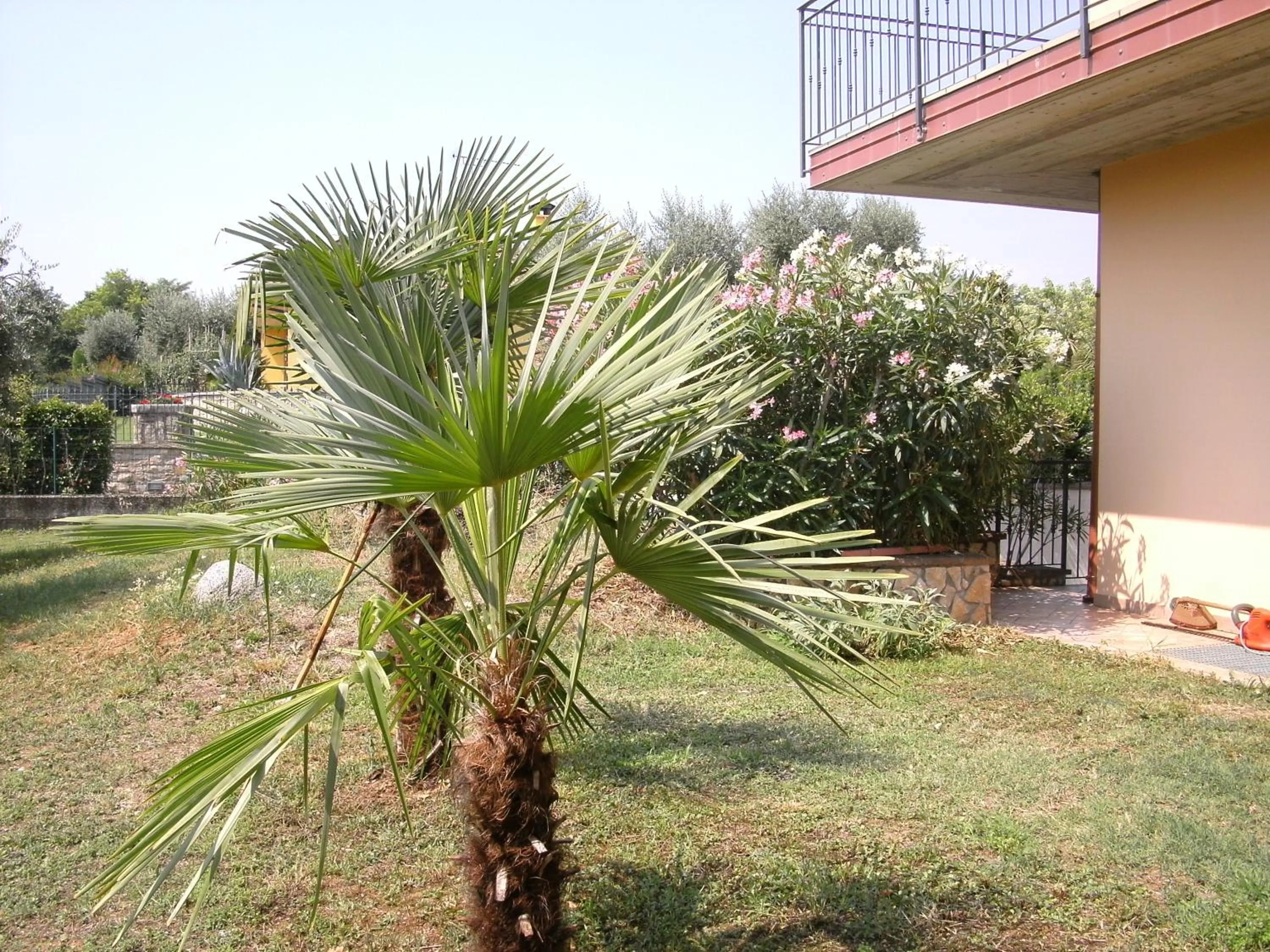 Day in B&B Agli Ulivi