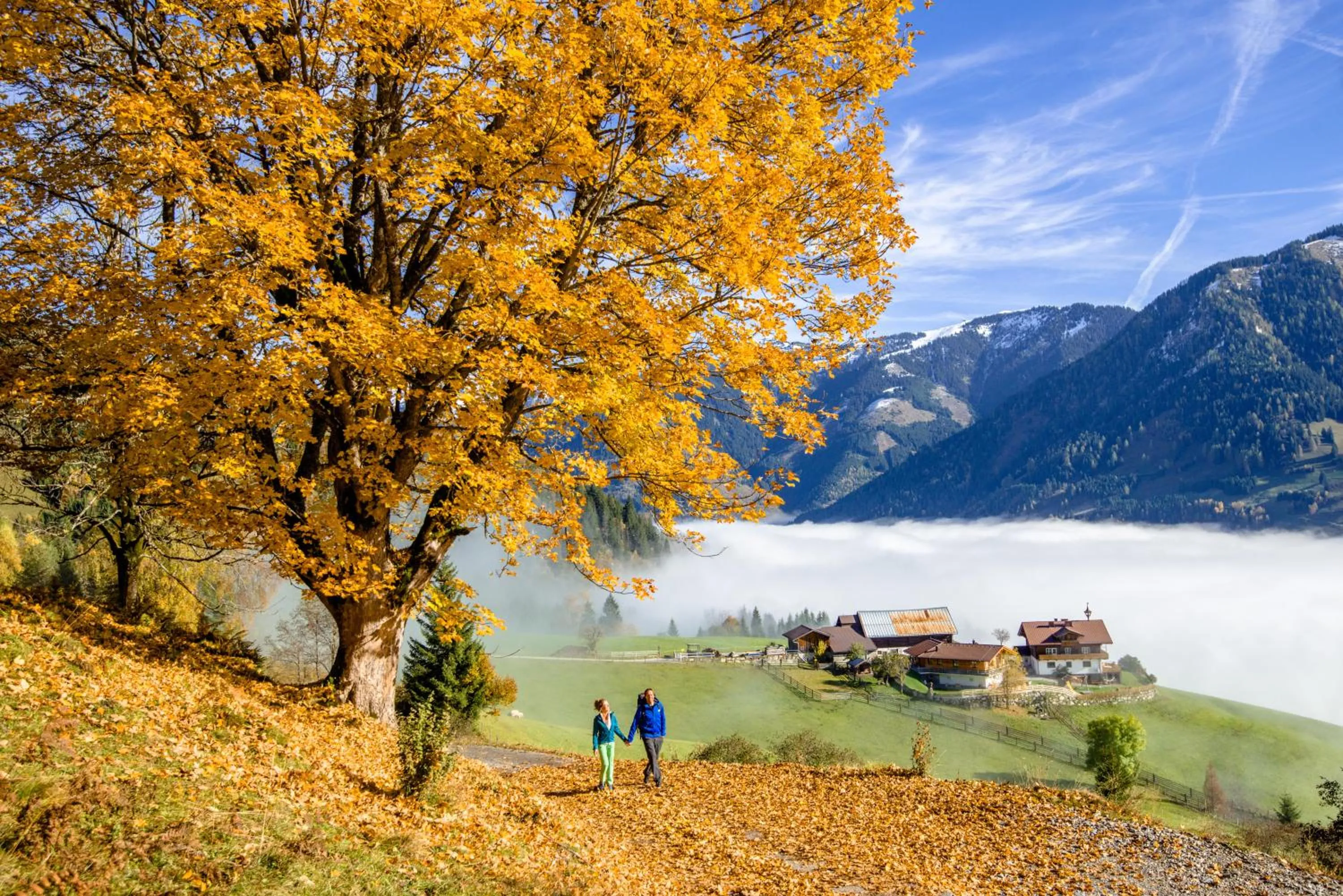 Staff in Alpine Appart