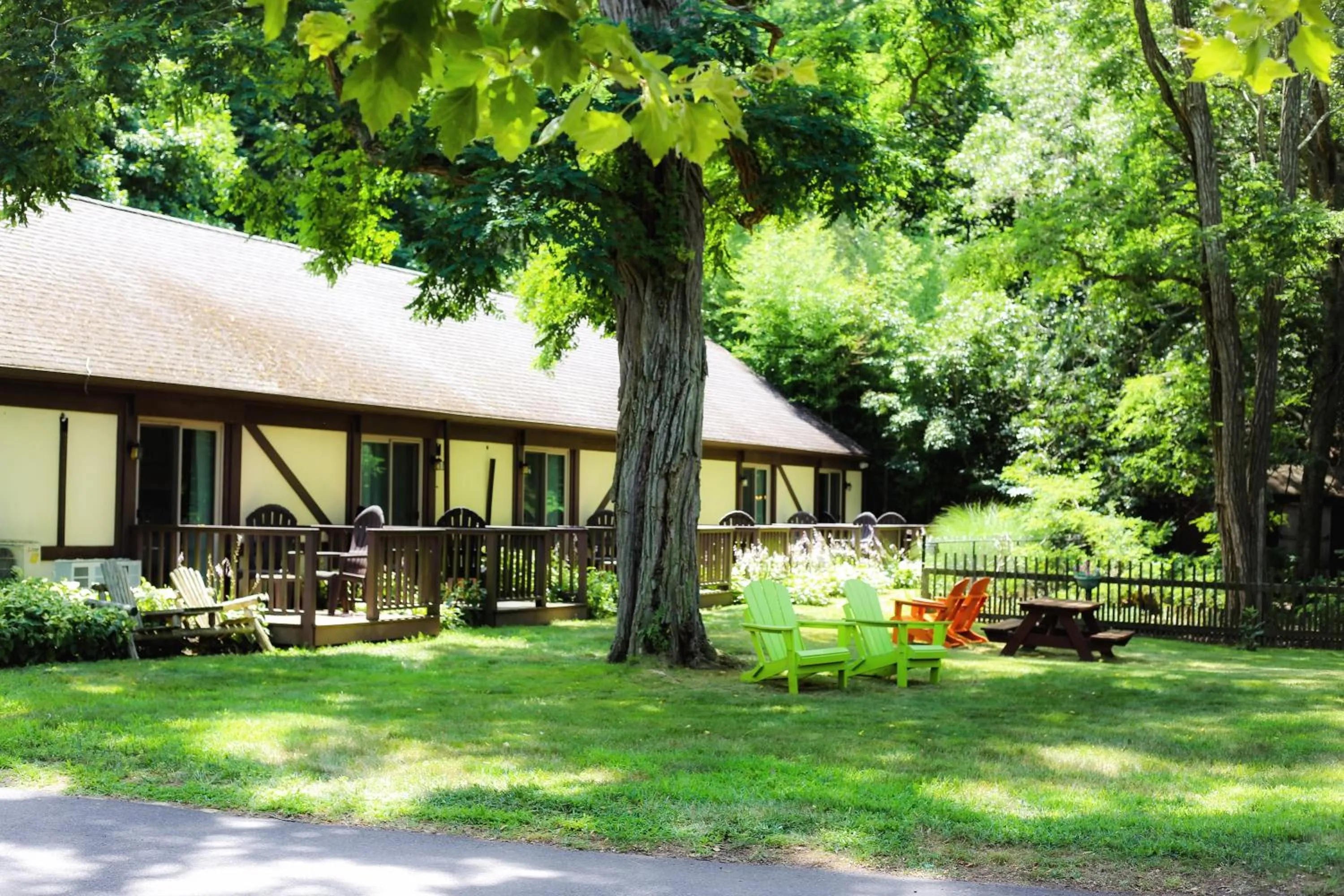 Garden in The Earl of Sandwich Motel