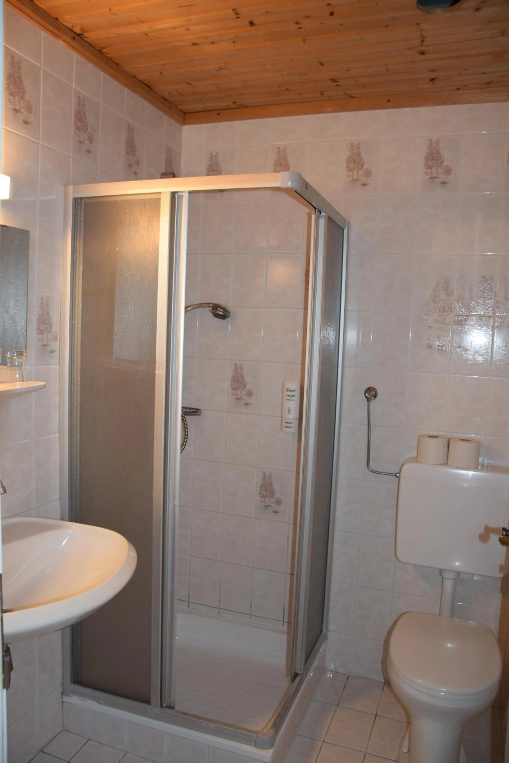 Shower in Appartmenthaus Rosenhof