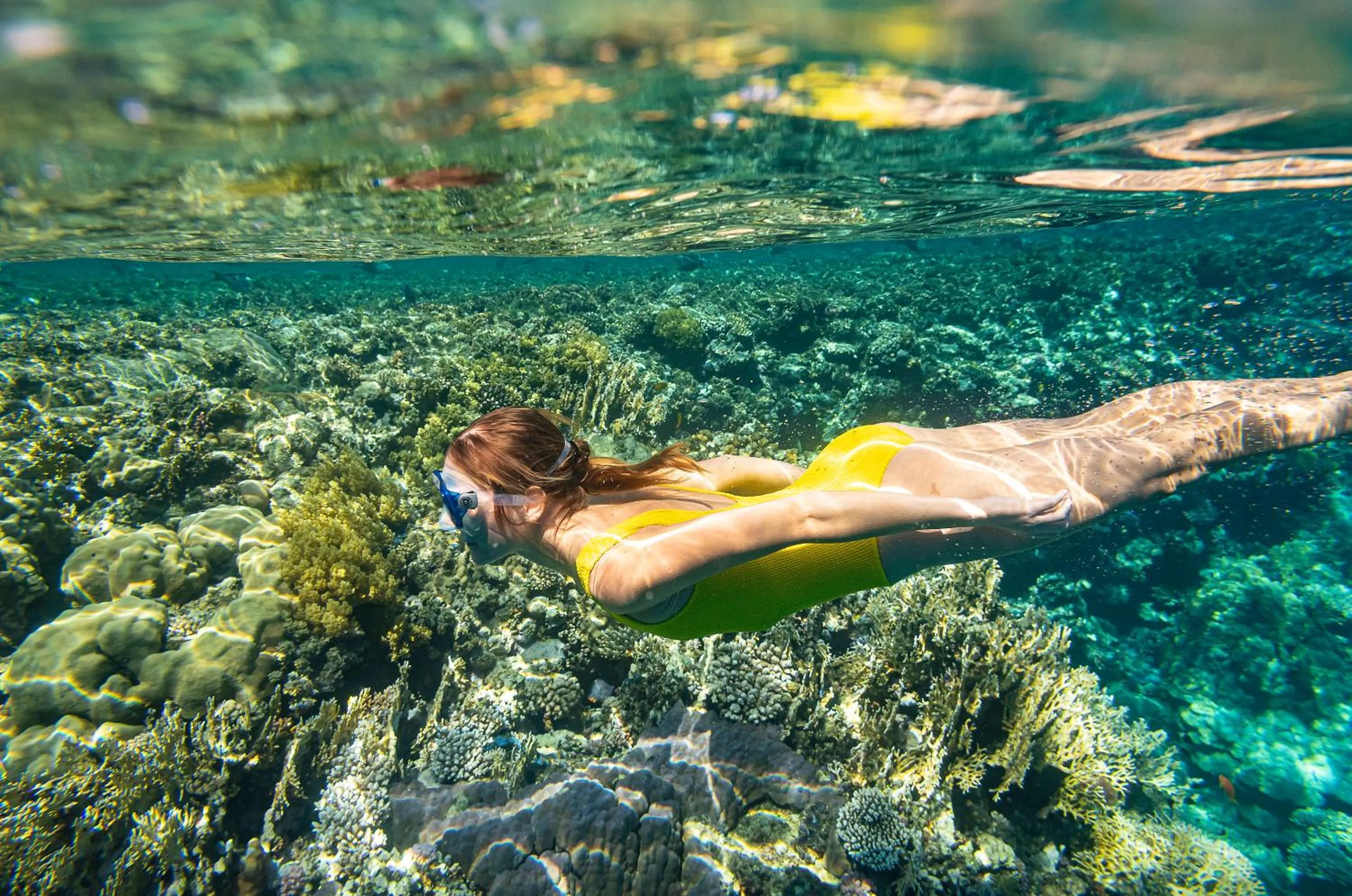 Snorkeling in Three Corners Equinox Beach Resort