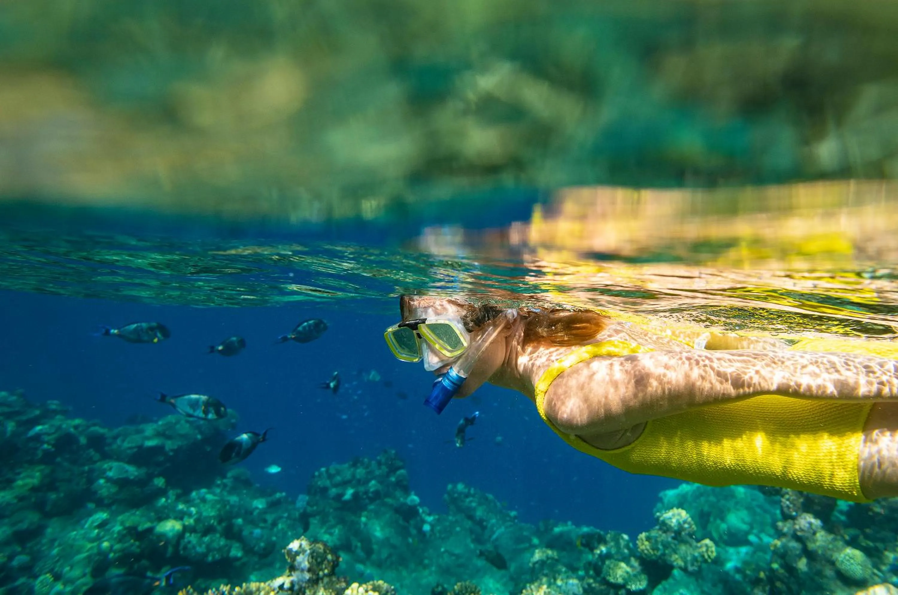 Snorkeling in Three Corners Equinox Beach Resort
