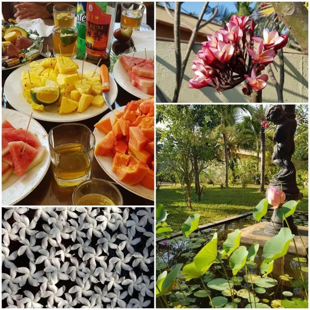 Garden in Solomon Beach Hotel