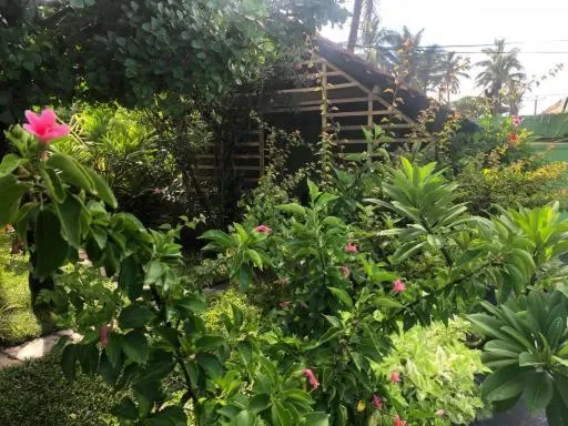 Property building in Solomon Beach Hotel