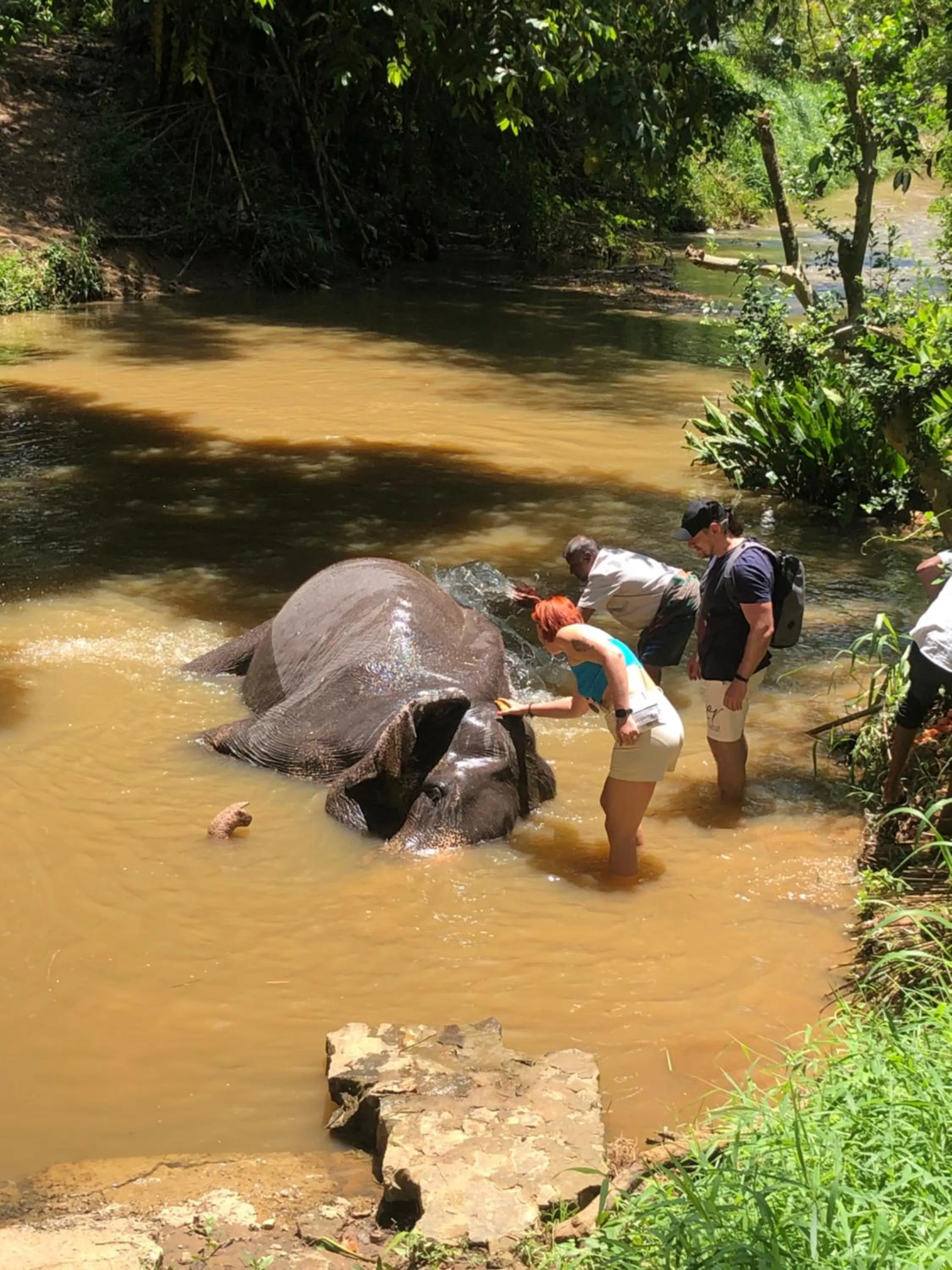 Natural landscape in Solomon Beach Hotel