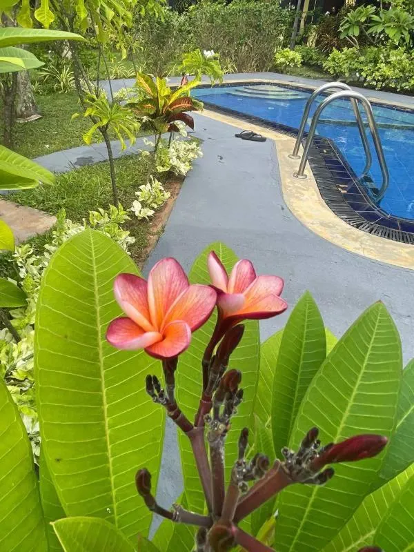 Property building in Solomon Beach Hotel