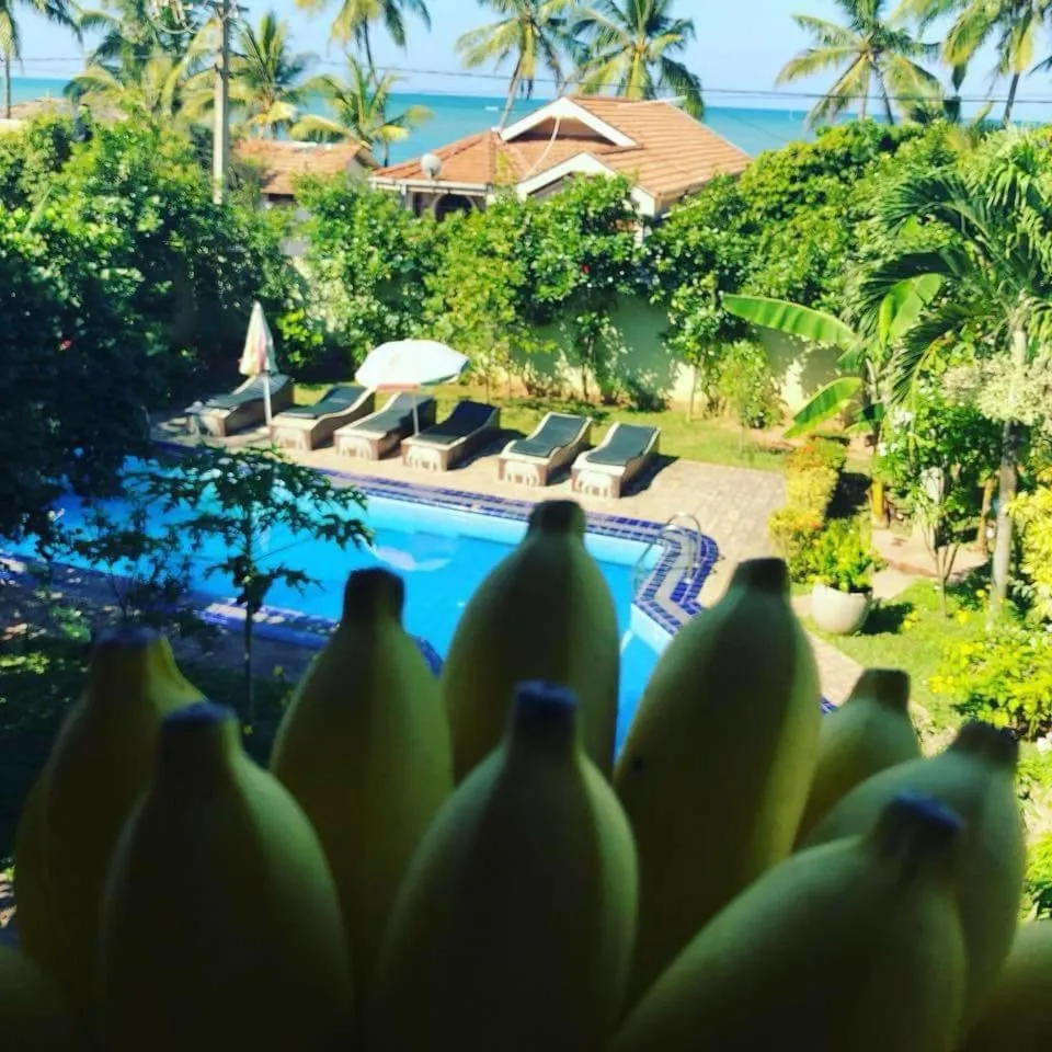 Garden view in Solomon Beach Hotel
