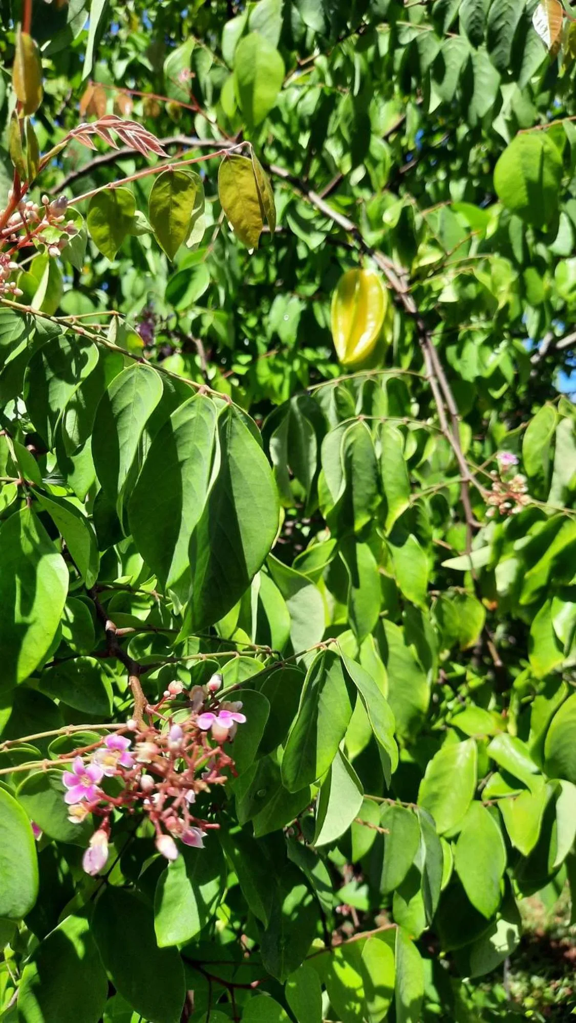 Property building in Solomon Beach Hotel