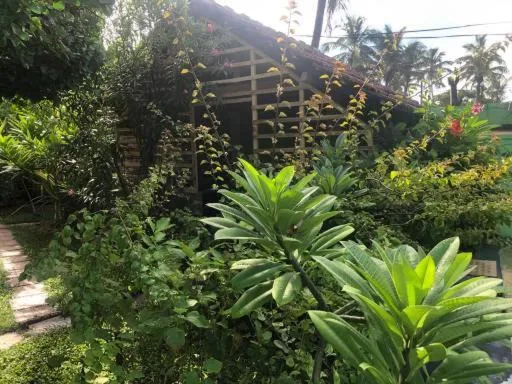 Spring in Solomon Beach Hotel